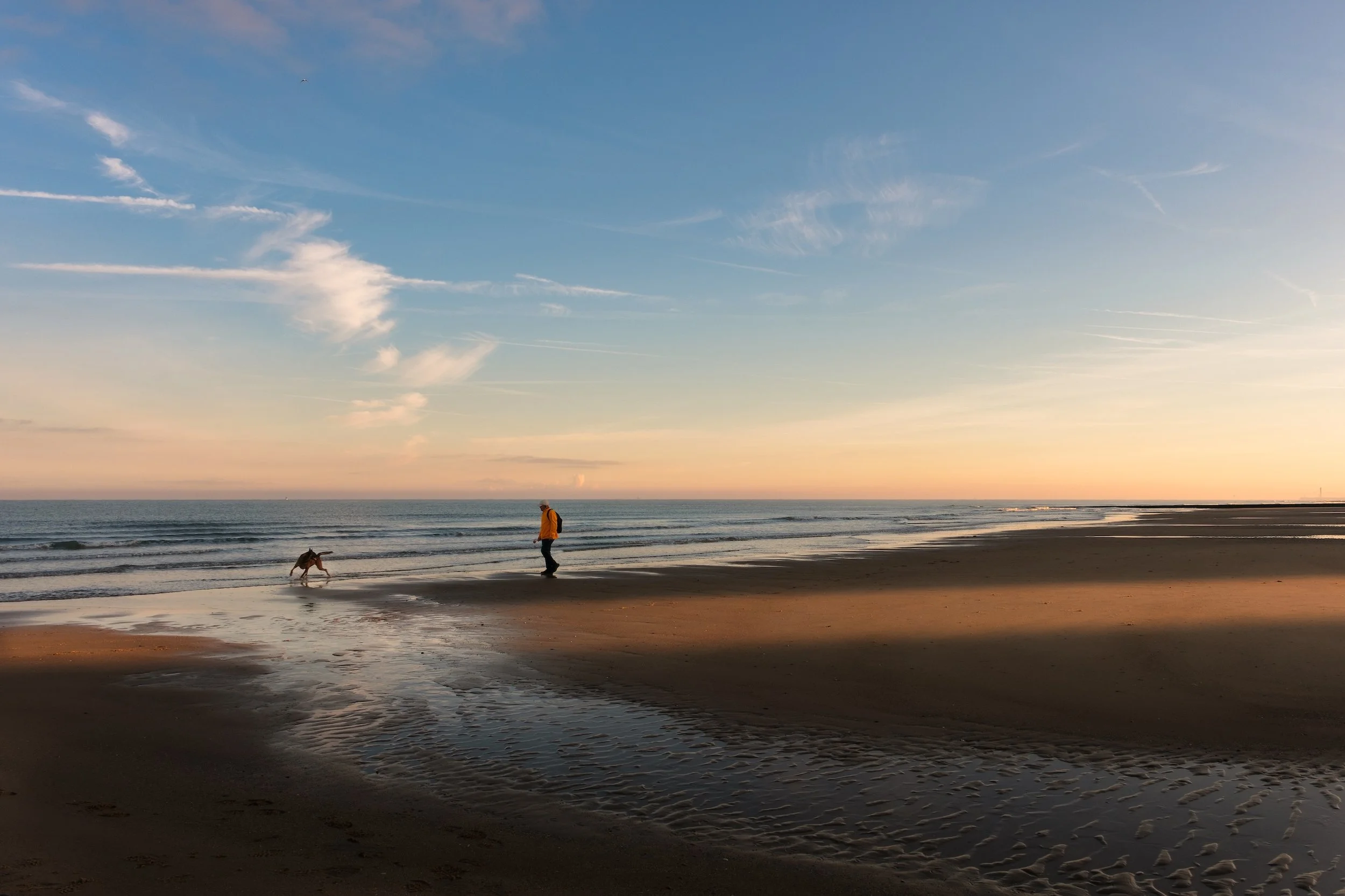 Ein Strand bei Sonnenuntergang mit einem Menschen und einem Hund, während das Meer und der Himmel im Hintergrund sind.