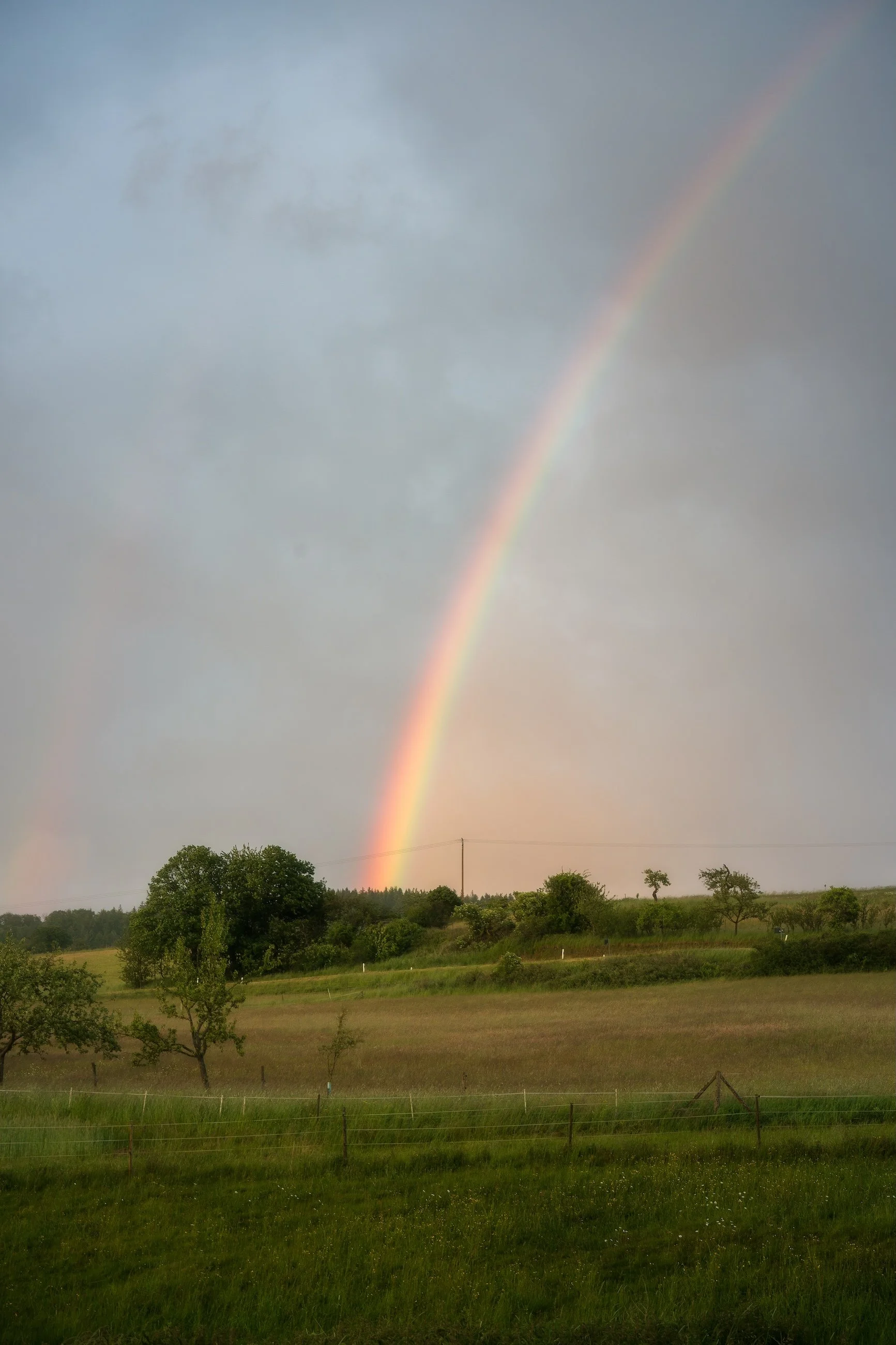 Regnbogen über einer grünen Wiese mit Bäumen und einem bewölkten Himmel.