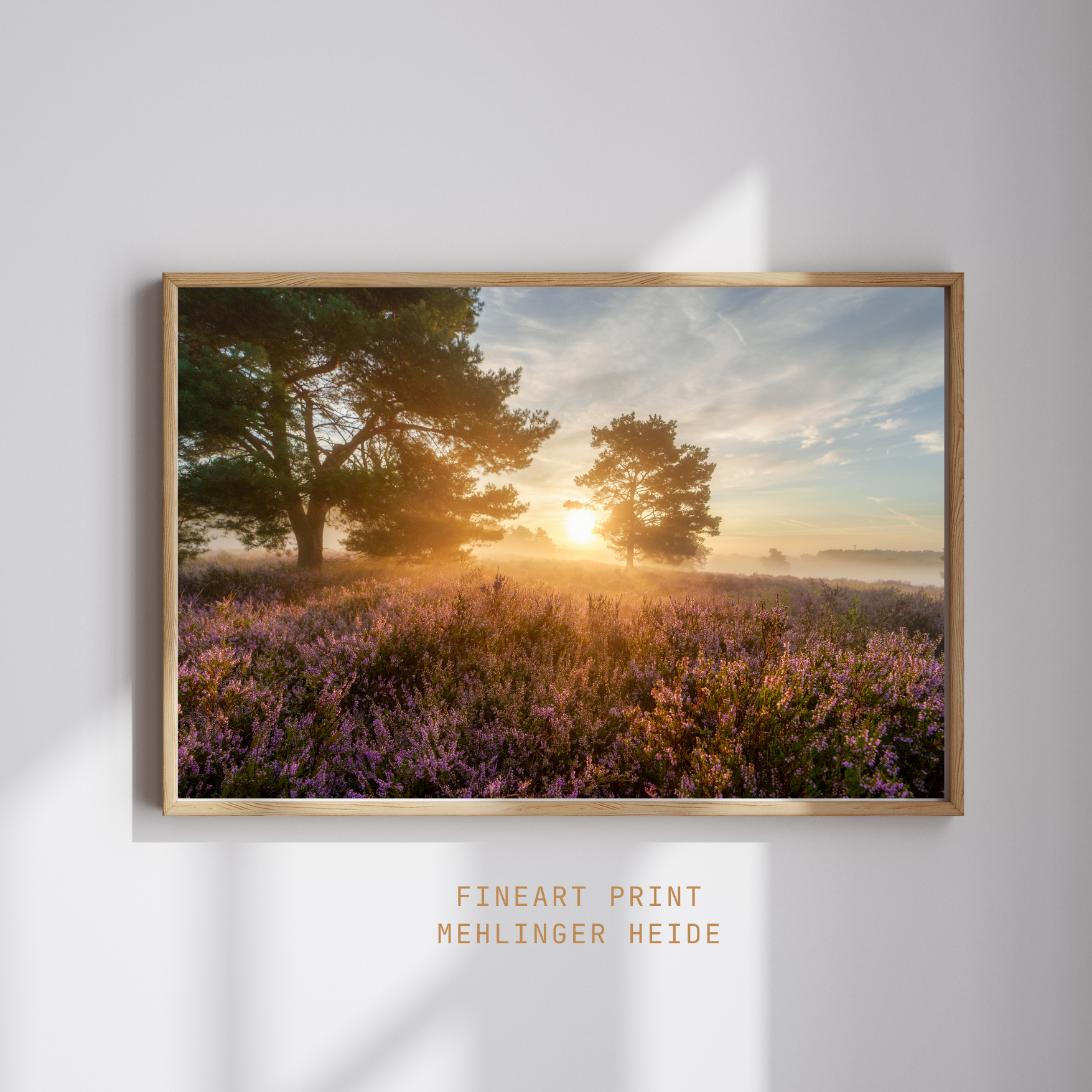 Mehlinger Heide Sonnenaufgang