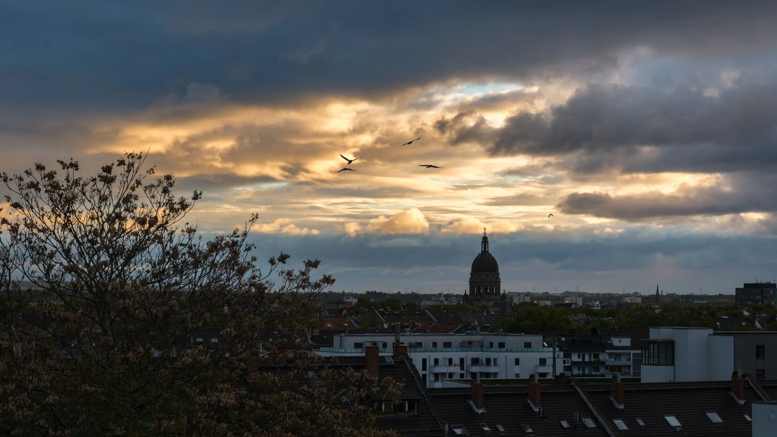 Stadtsilhouette bei Sonnenuntergang mit Wolken am Himmel, Vögeln und einem historischen Dom im Hintergrund, vorausgehende Stadtgebäude und ein Baum.