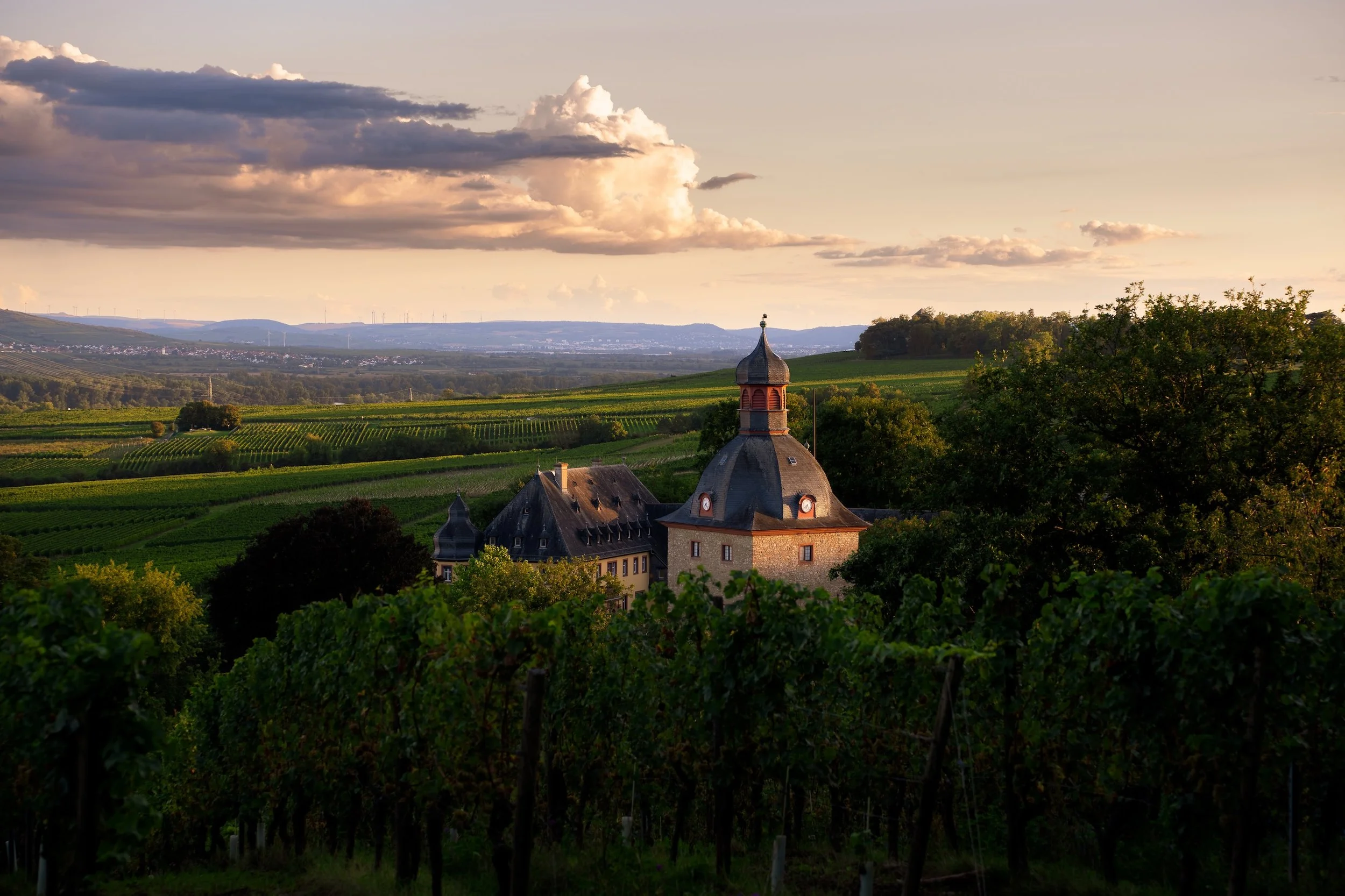 Landschaft mit Weinbergen und einer Kirche bei Sonnenuntergang im Tal.