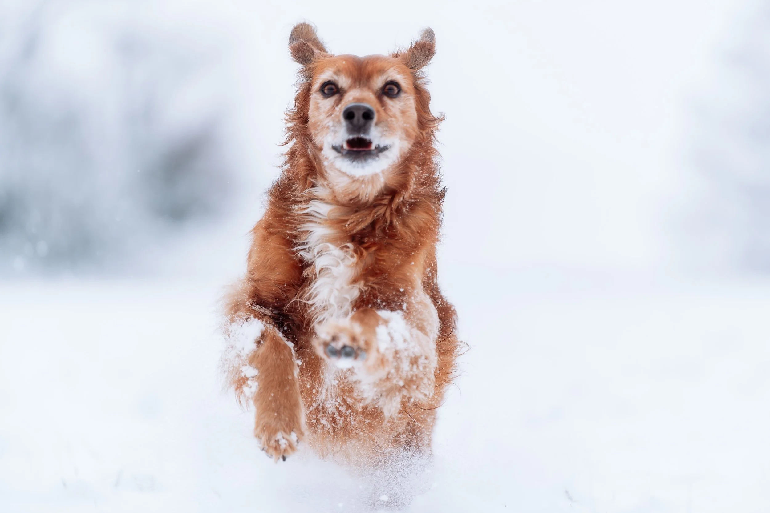 unbenannt-196-DxO_DeepPRIME XD2s_XD-Bearbeitet.jpg