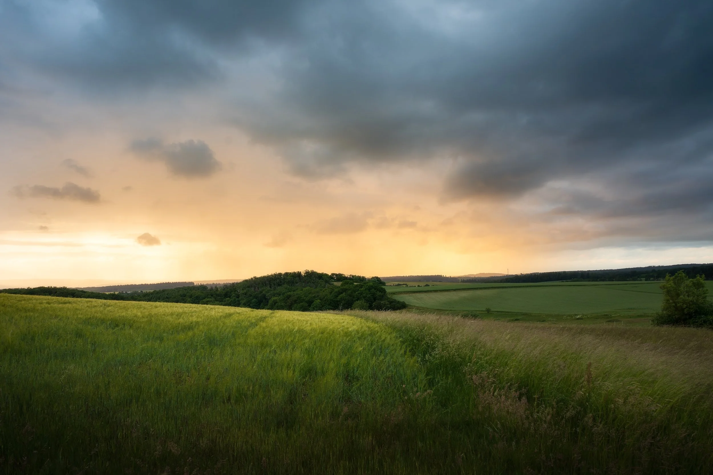 Landschaft mit grünem Feld, kleinen Büschen und Bäumen, dunklen Wolken am Himmel und Sonnenuntergang im Hintergrund.