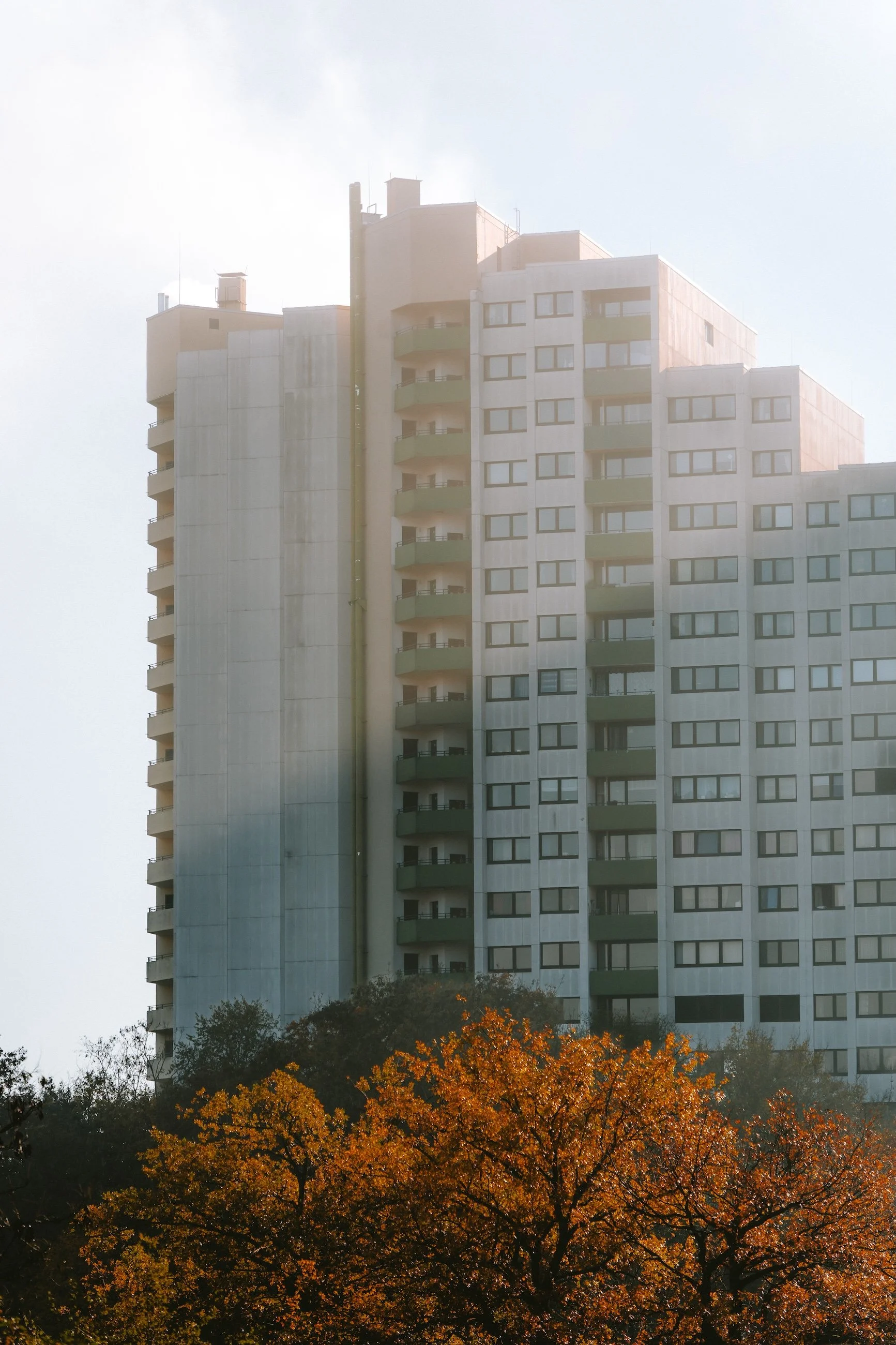 Hochhaus mit mehreren Balkonen vor einem Morgenhimmel, im Vordergrund Bäume mit orangefarbigen Herbstblättern.