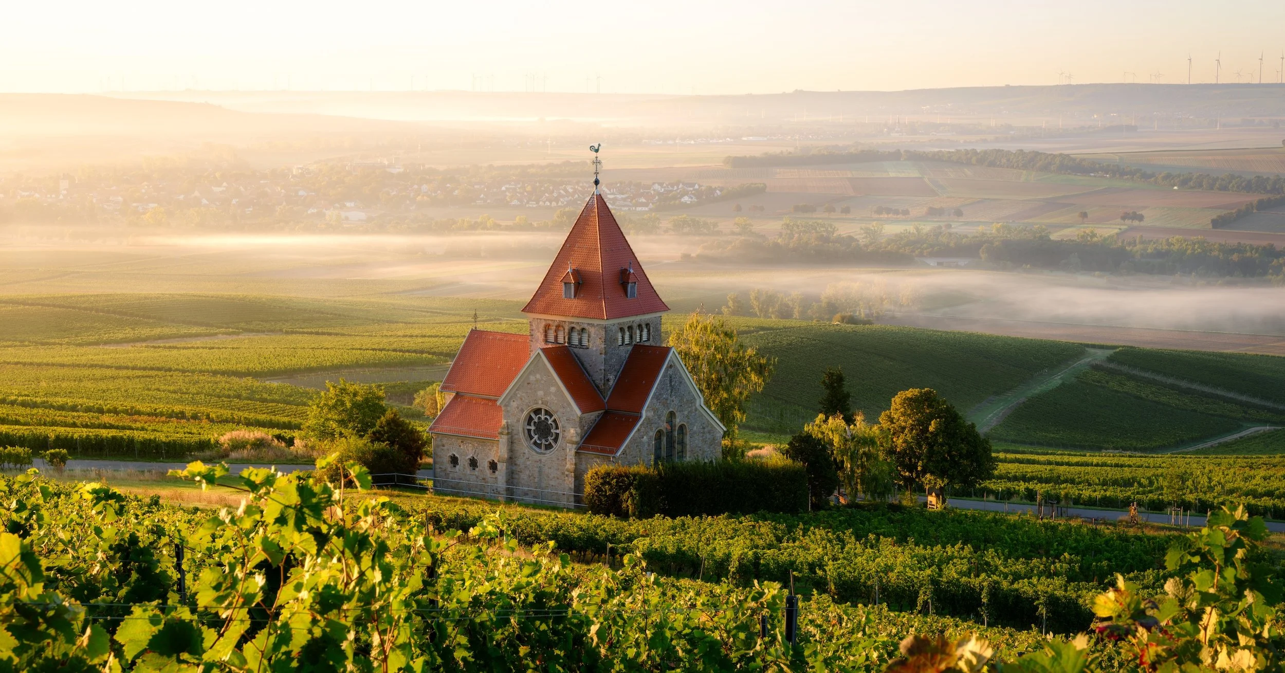 Ein malerisches Kirchgebäude mit rotem Dach inmitten von Weinbergen bei Sonnenaufgang oder Sonnenuntergang, mit Nebel über dem Land im Hintergrund.