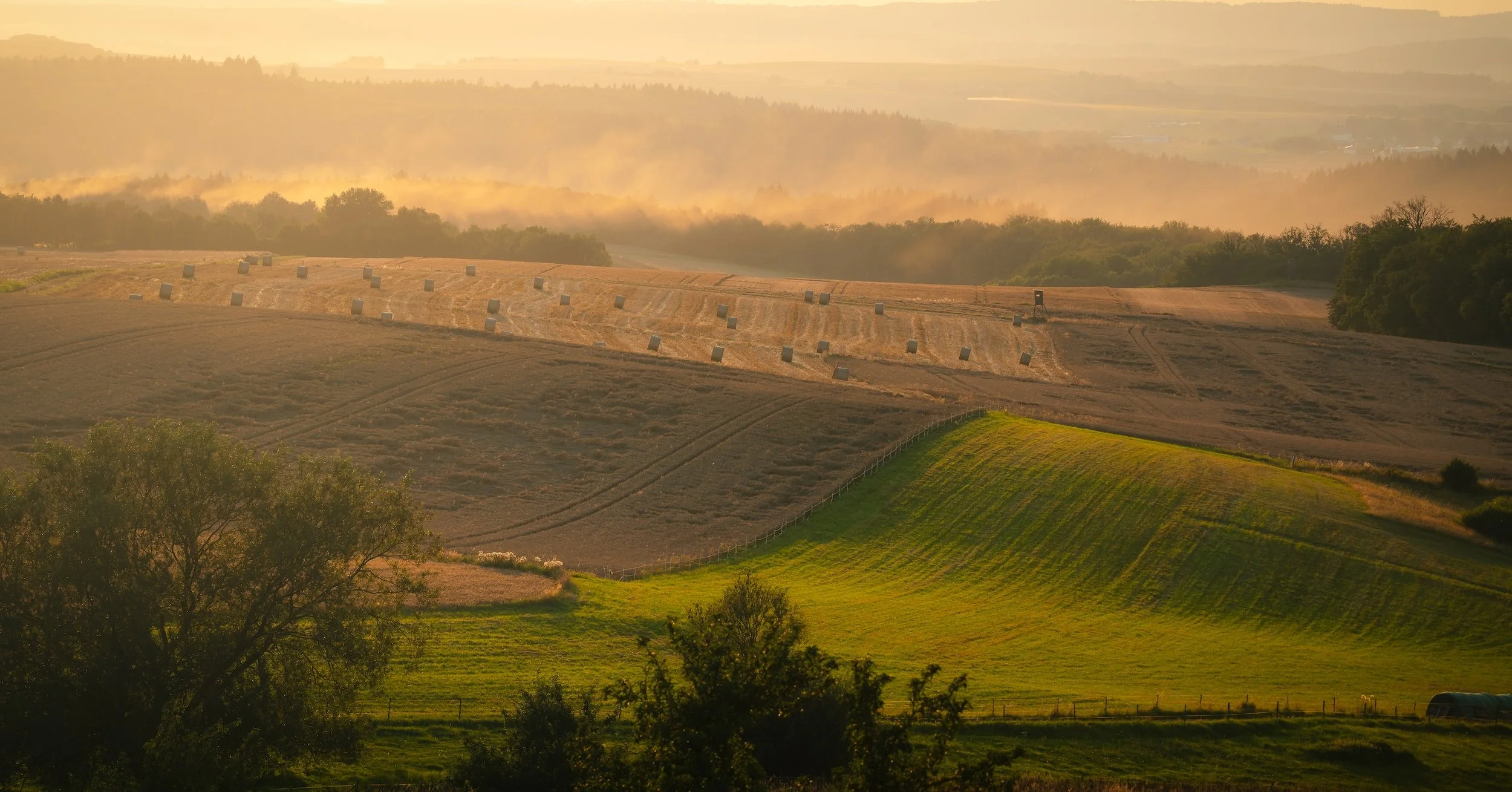 Landschaft mit Feldern, Bäumen und Heuballen bei Sonnenaufgang oder Sonnenuntergang, mit Nebel im Hintergrund.