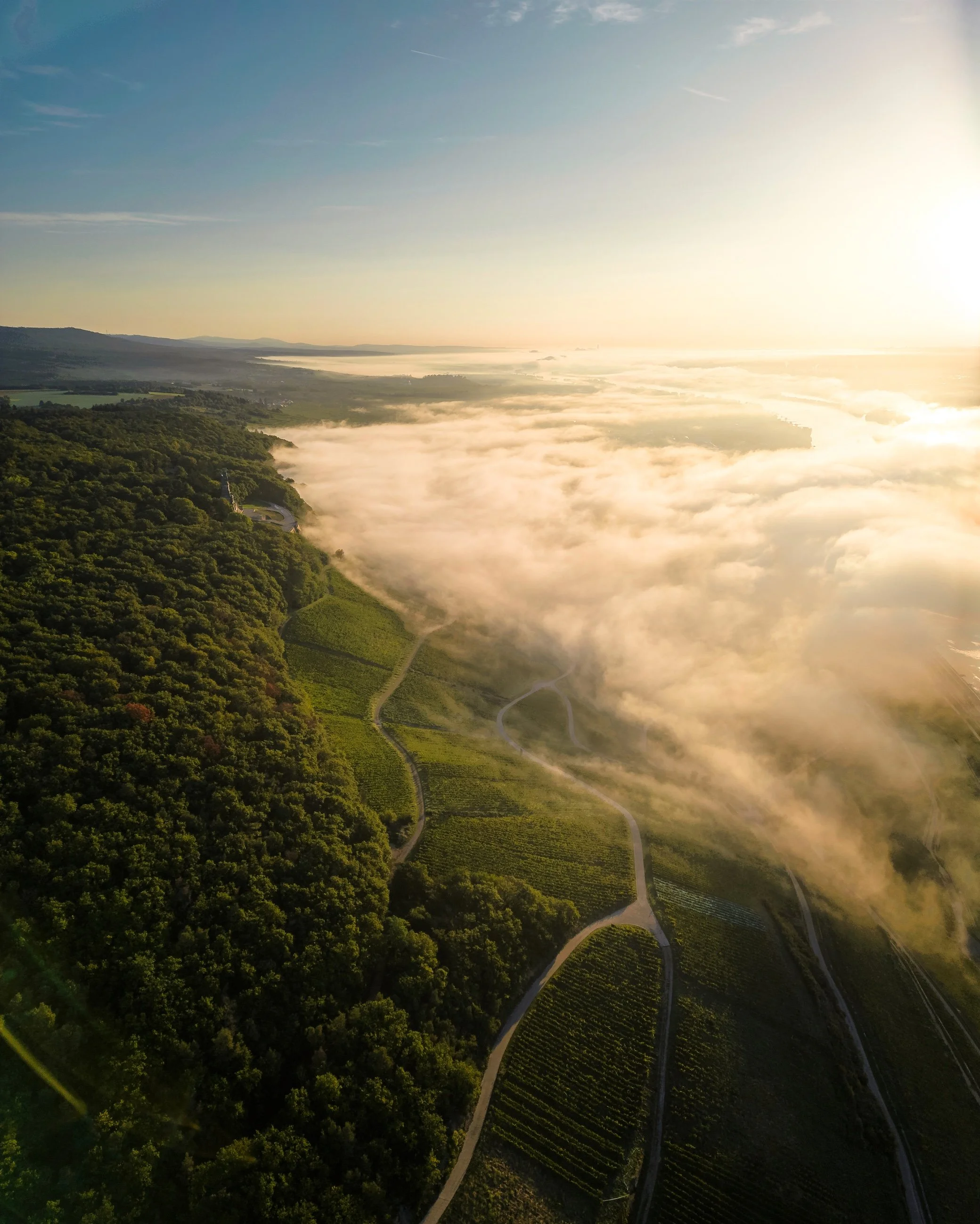 Luftaufnahme einer bewaldeten Landschaft mit Feldern, Nebel und Sonnenaufgang im Hintergrund.
