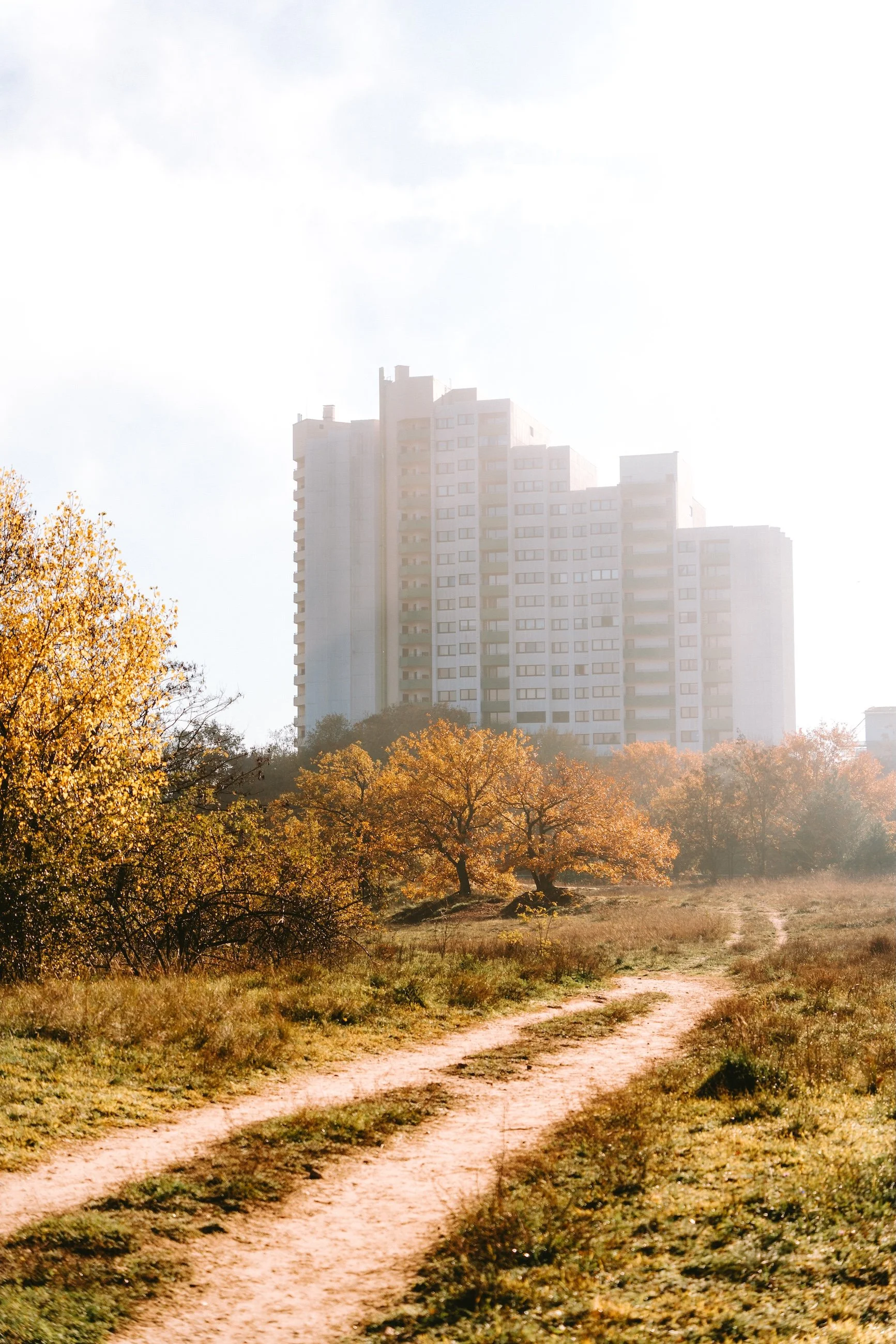 Ein Weg durch eine Wiese mit Bäumen in Herbstfarbe vor einem hohen weißen Gebäude im Nebel.