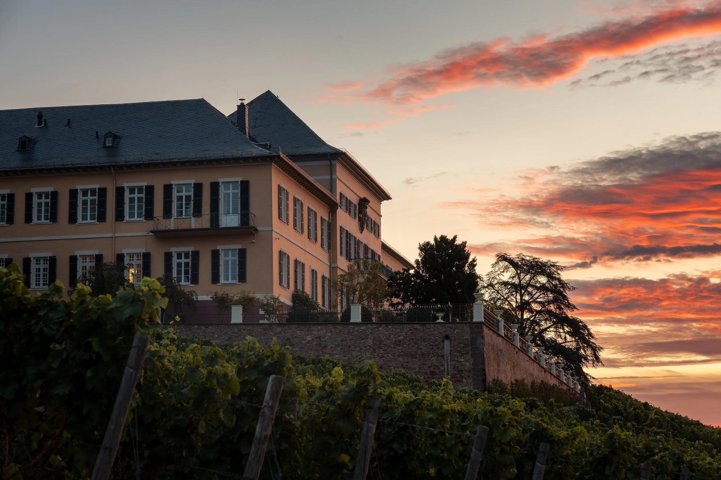 Ein mehrstöckiges Haus auf einem Hügel bei Sonnenuntergang, umgeben von Weinreben und Bäumen, mit einem farbenfrohen Himmel mit Wolken im Hintergrund.