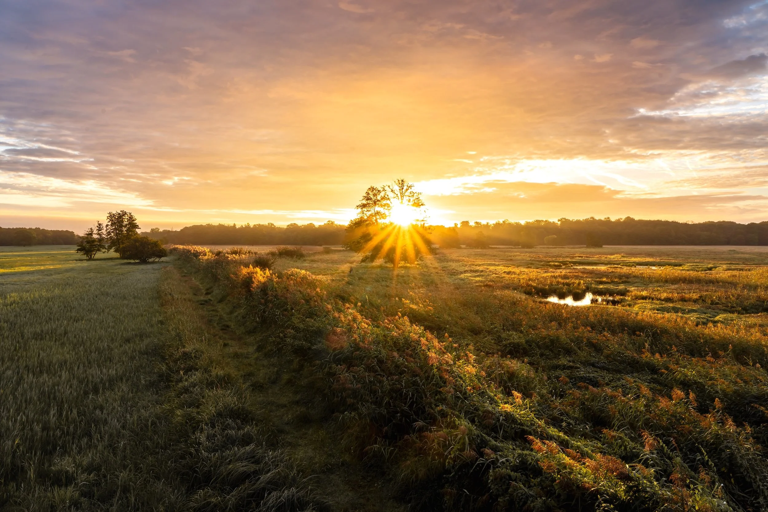 Sonnenuntergang über einer ländlichen Landschaft mit Feldern, Büschen und Bäumen