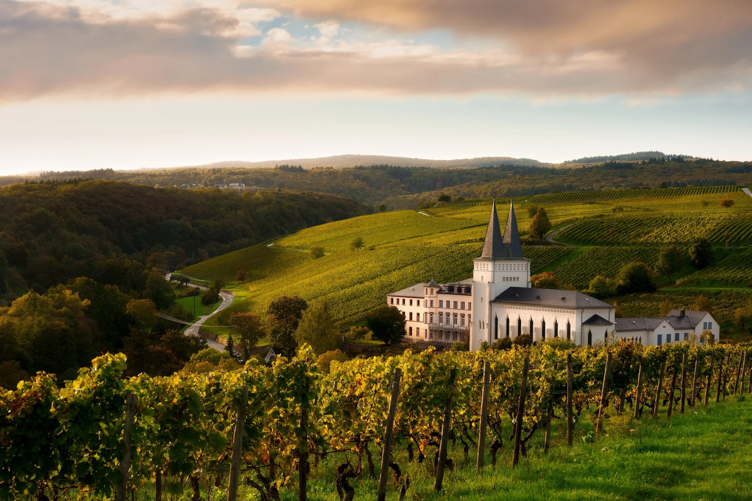 Eine ländliche Landschaft mit Weinbergen, einem weißen Schloss mit Kirchturm und einem glühenden Sonnenuntergang im Hintergrund.