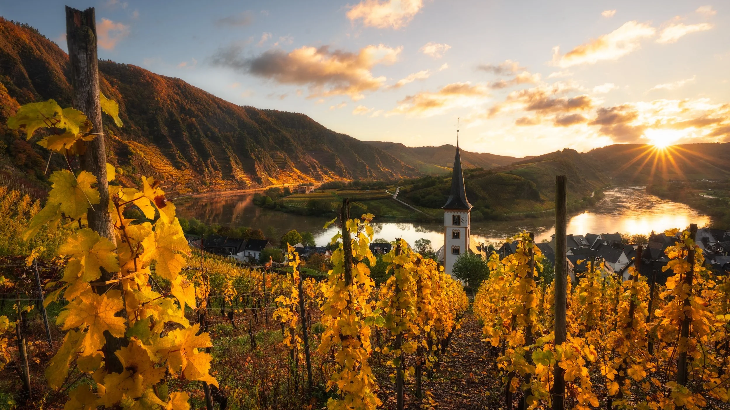Herbstliche Weinberge mit gelben Blättern, einer Kirche mit spitzer Turm am Fluss am Sonnenuntergang in einer malerischen Landschaft.