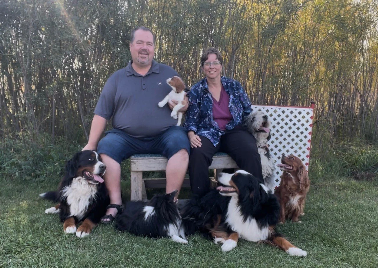A couple sitting on a wooden bench outdoors surrounded by trees and grass, with seven dogs of various breeds around them, some sitting and some standing.