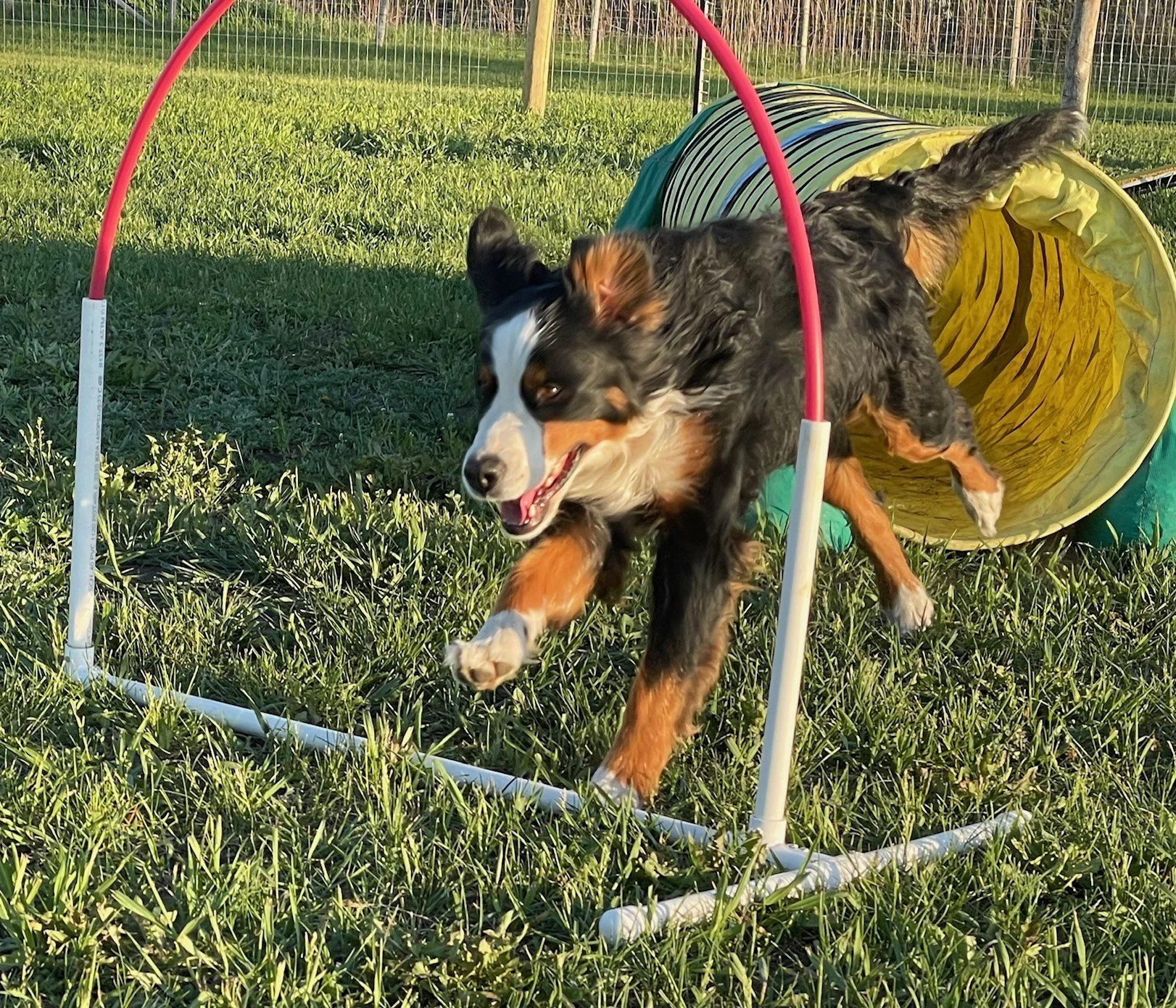 Mercy hoop.jpg