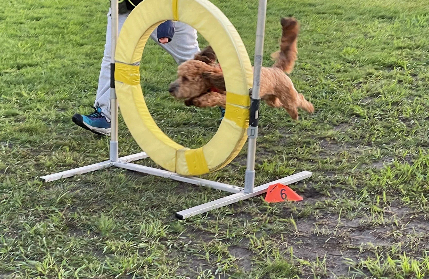 Prairie Dawgs Meatloaf tire