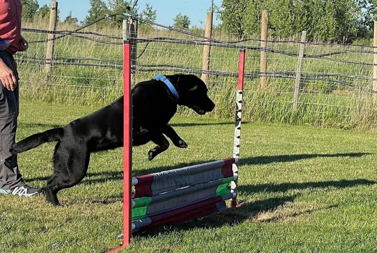 Prairie Dawgs Zina jump