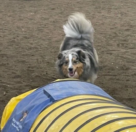 Cooper+tunnel+indoors.jpg
