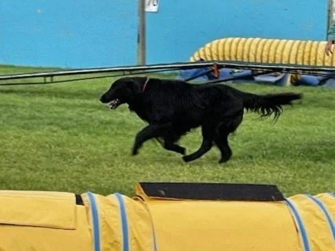 Freyarun1.jpg