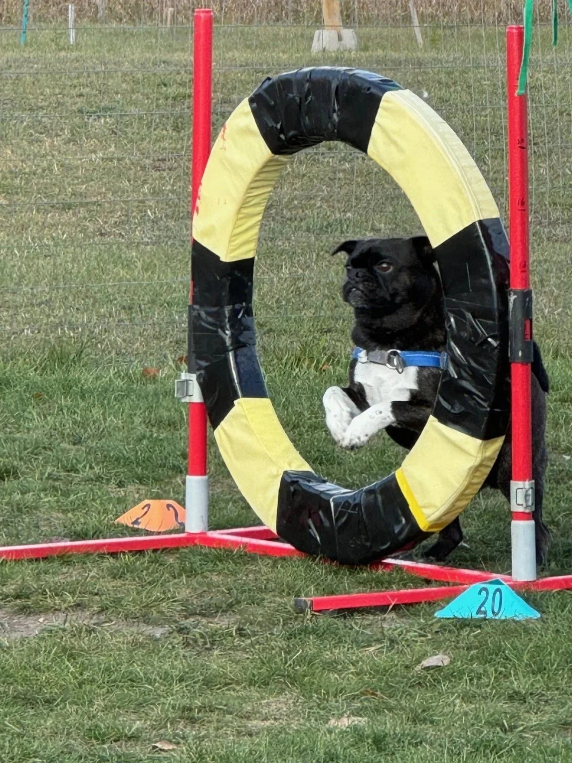 Prairie Dawgs Jett Tire