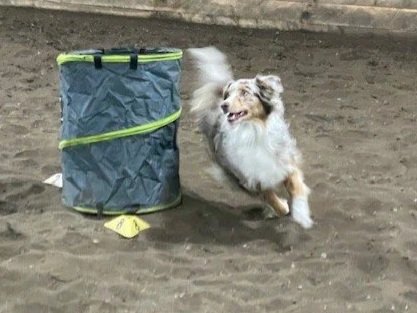 Barrel+Dipper.jpg