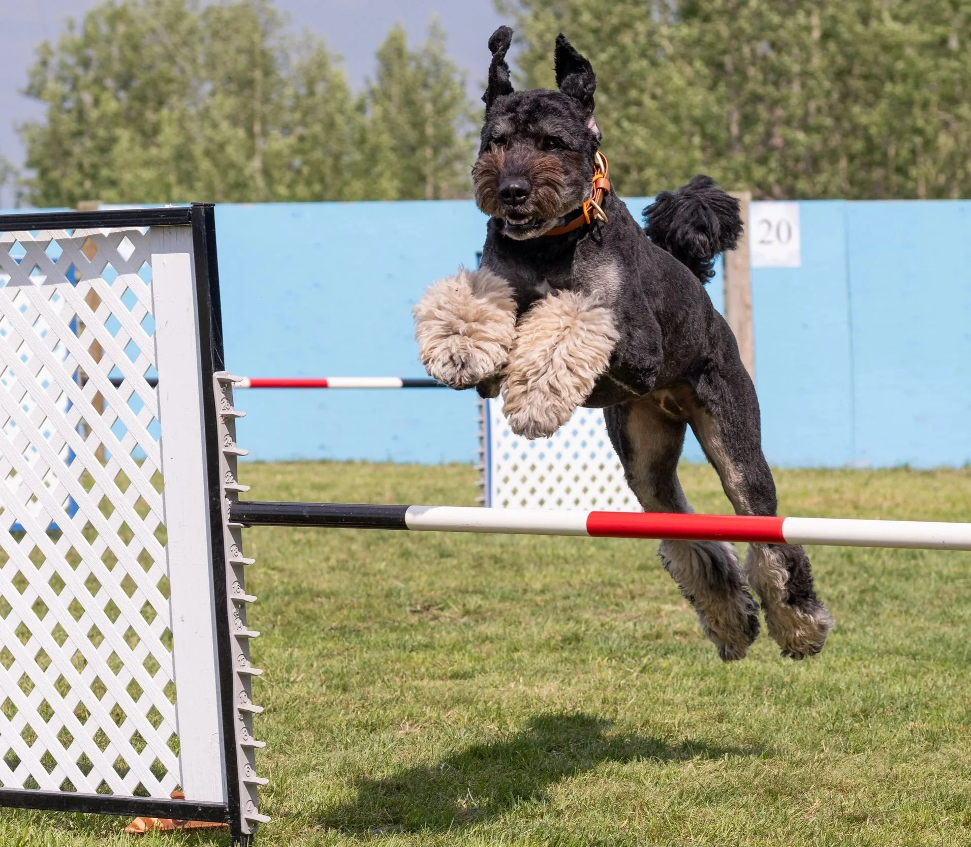 Prairie Dawgs Pearl jump