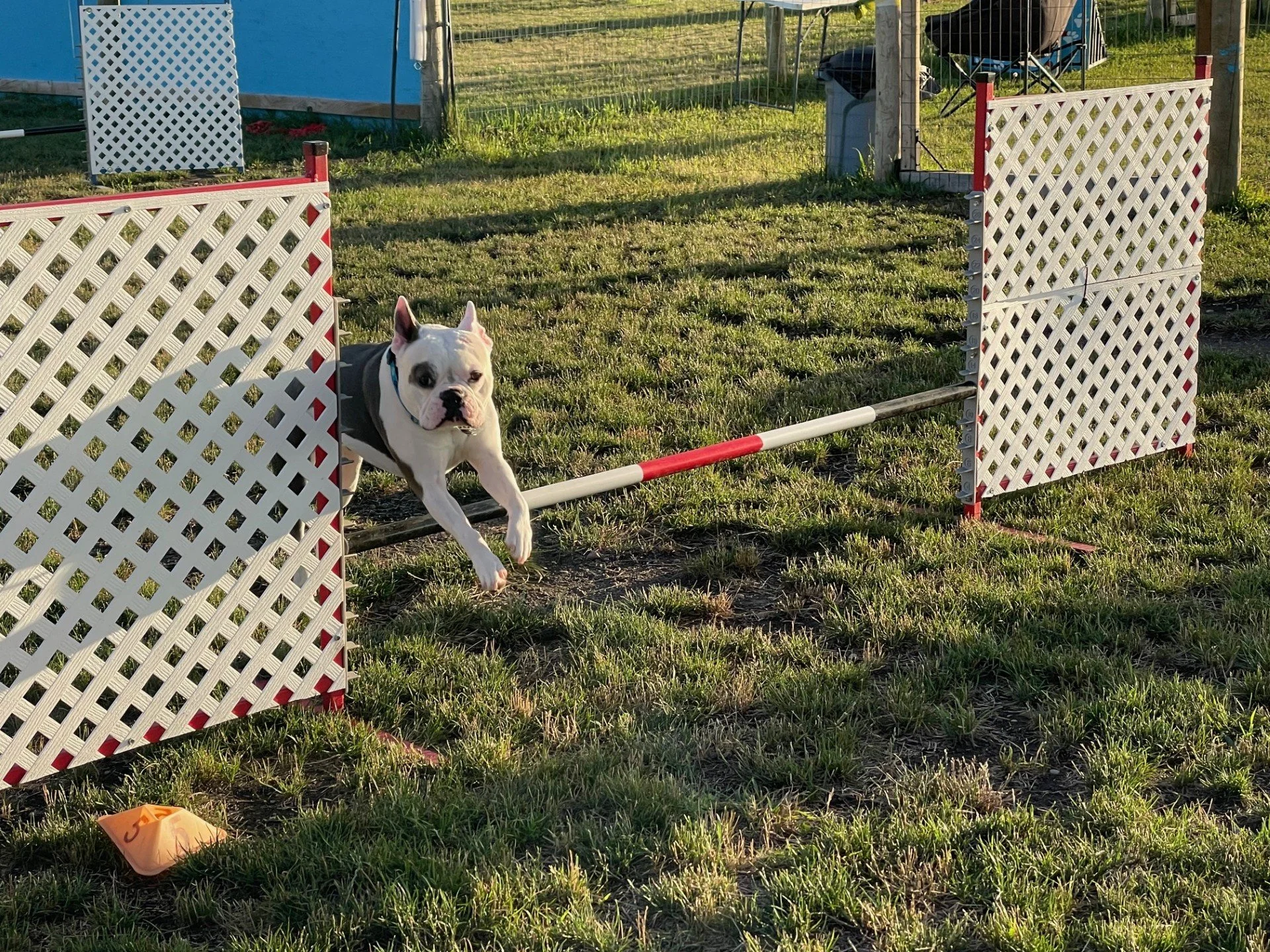 Prairie Dawgs Leo Jump