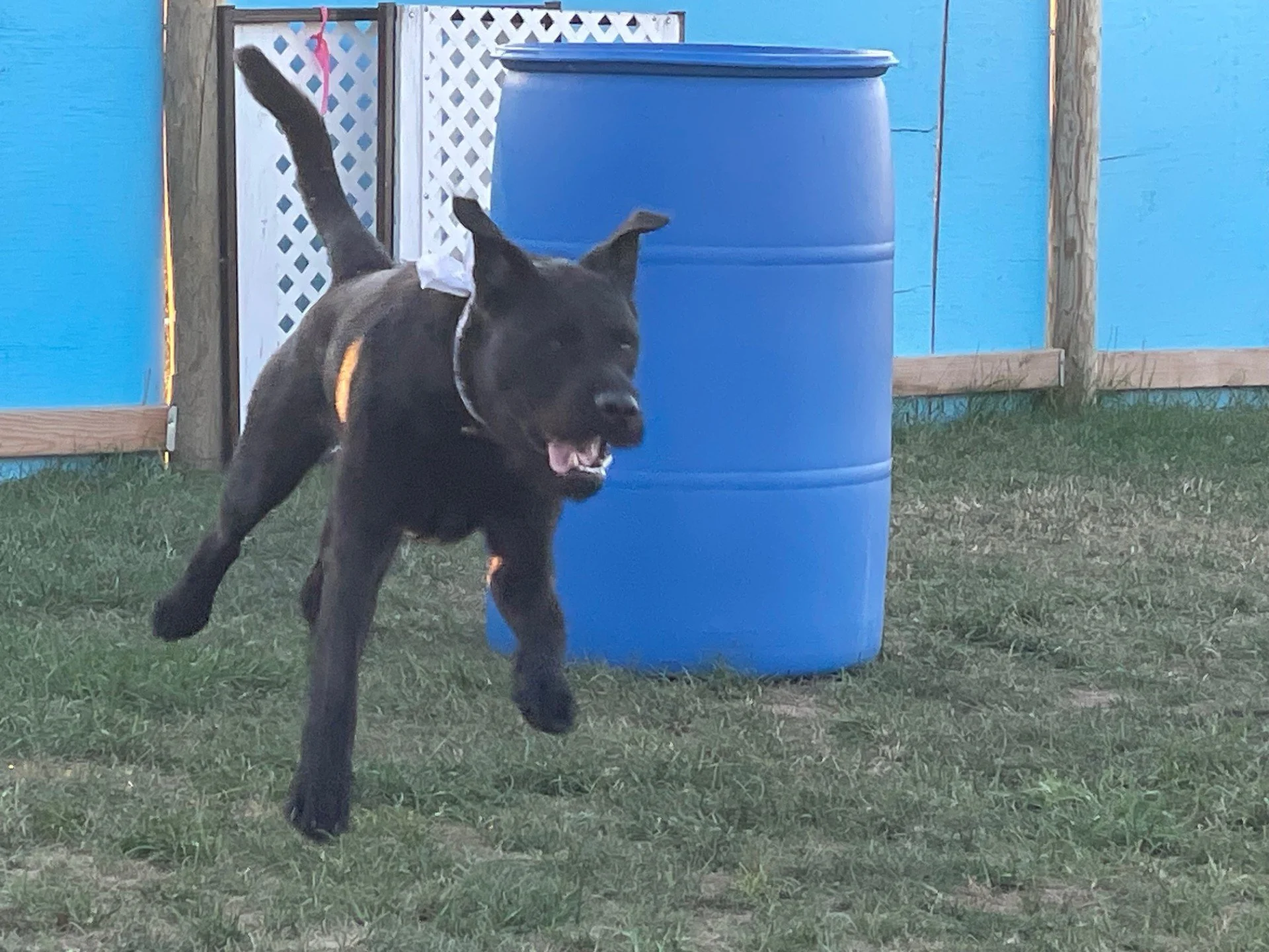 Billy Barrel.jpg