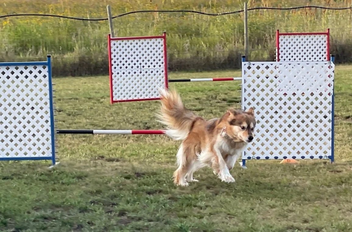 Prairie Dawgs Suki jump