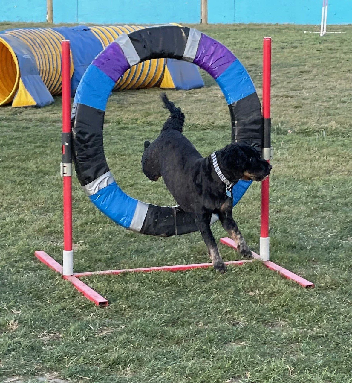 Arlo tire.jpg