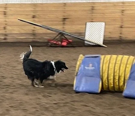 Maggie+tun+indoors.jpg