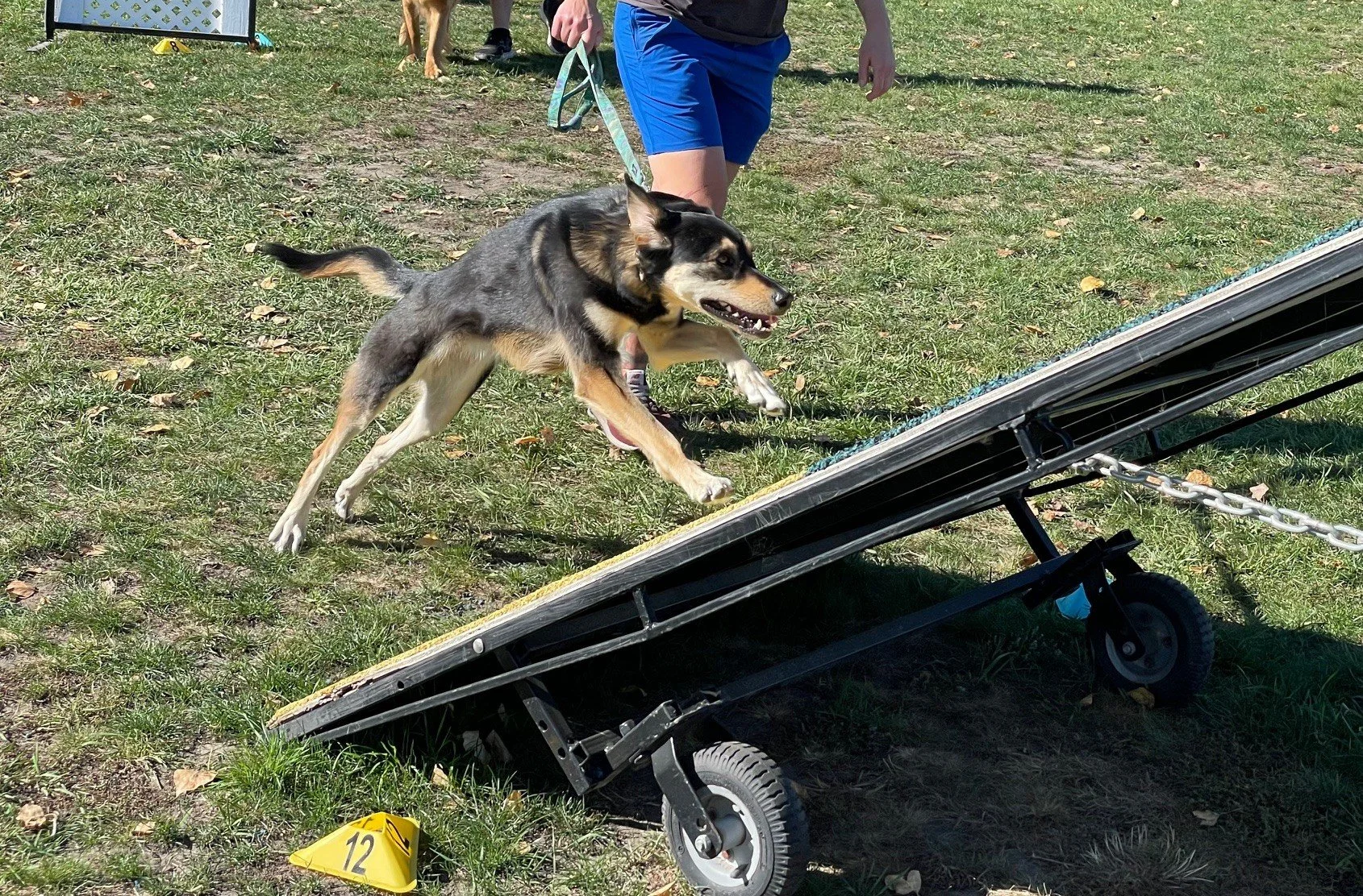 leap Charlie frame.jpg
