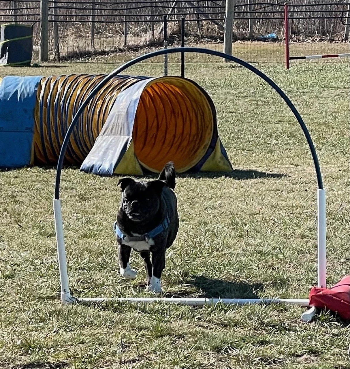 Jet hoop.jpg