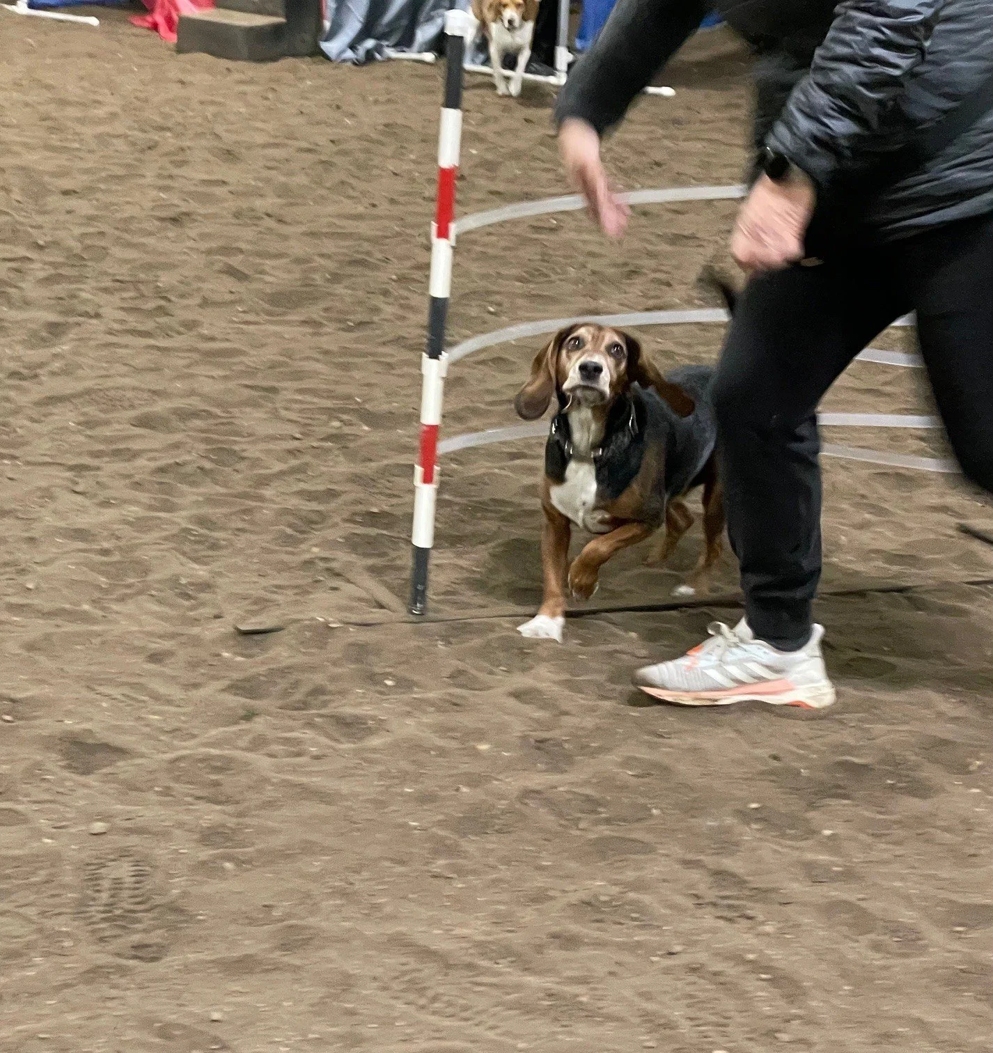 Prairie Dawgs Waylon Weaves