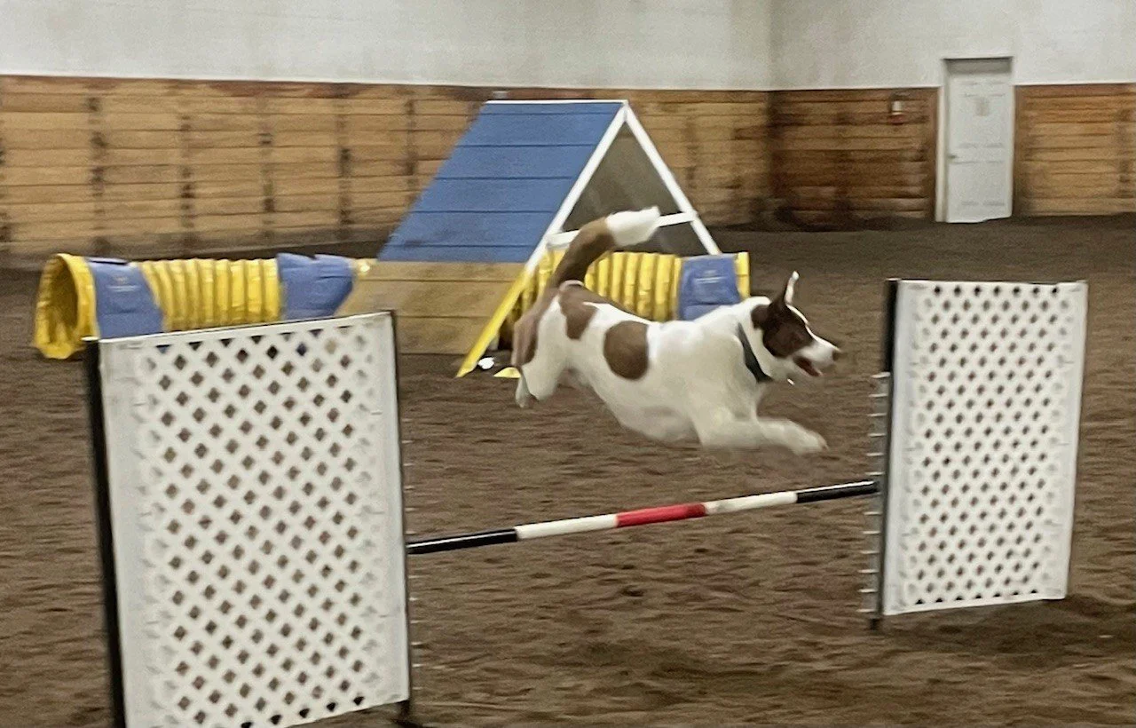Prairie Dawgs Mak jump