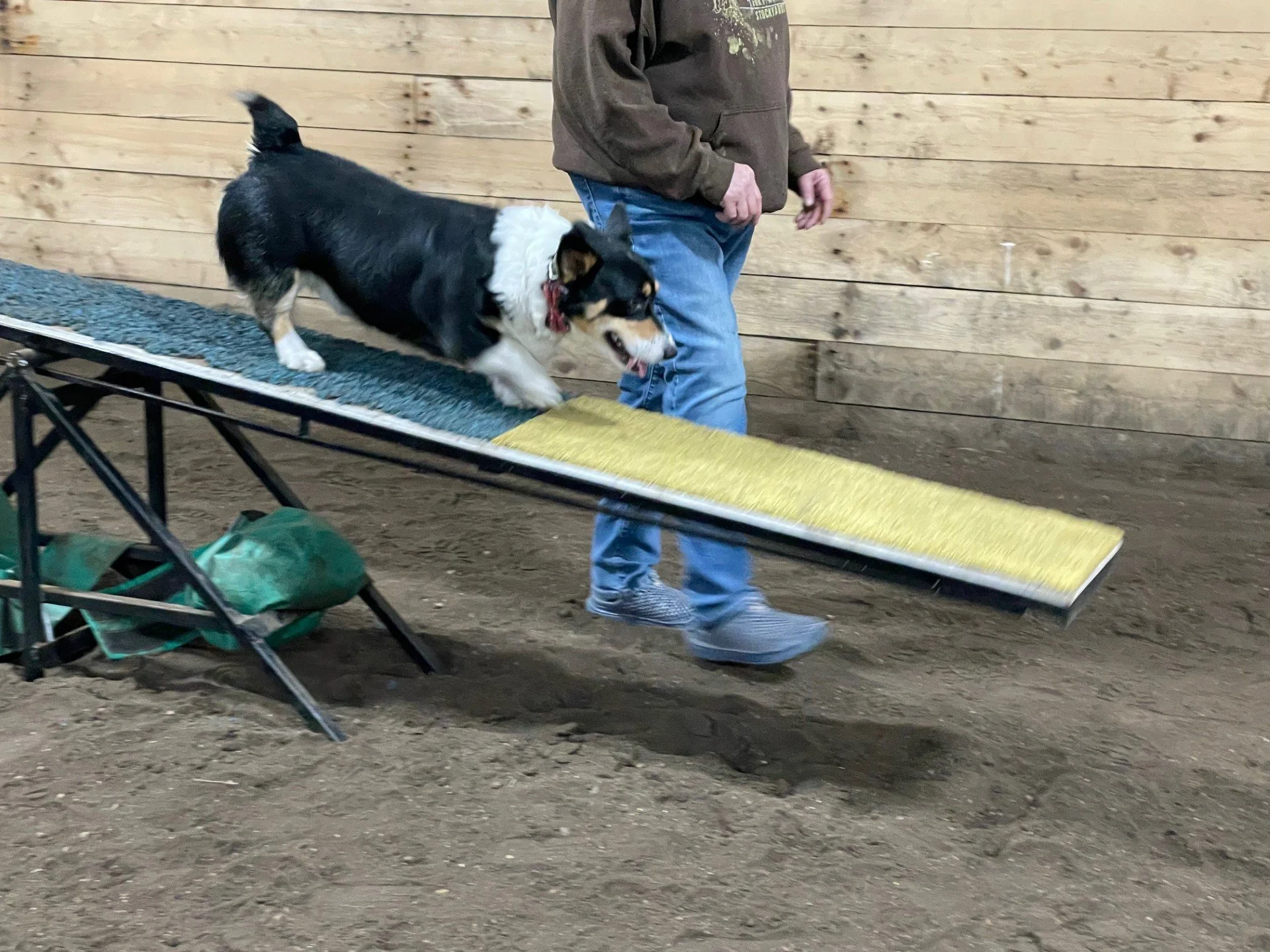 Prairie Dawgs Joey Teeter