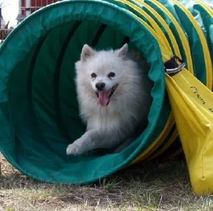 Lucky tunnel.jpg