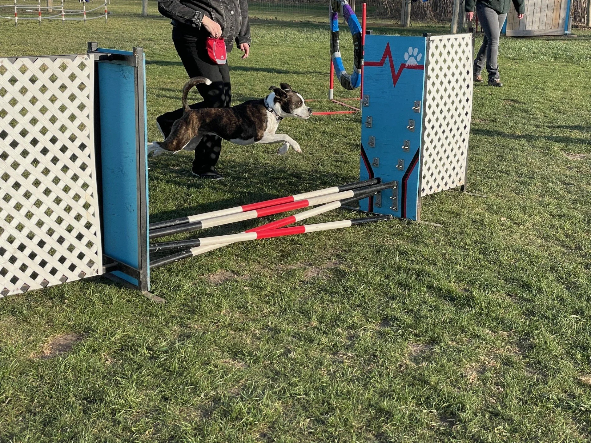 JUMP class 1 or 2 jumps  - WED, July 8th - 7:45