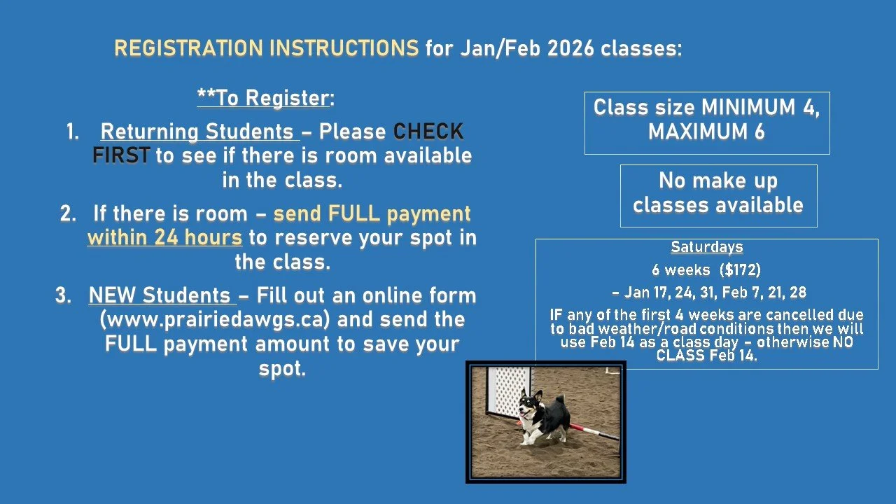 Blue informational poster titled 'Registration Instructions for Jan/Feb 2026 classes,' with registration steps and class details, including a small photo of a dog in a dog agility course.