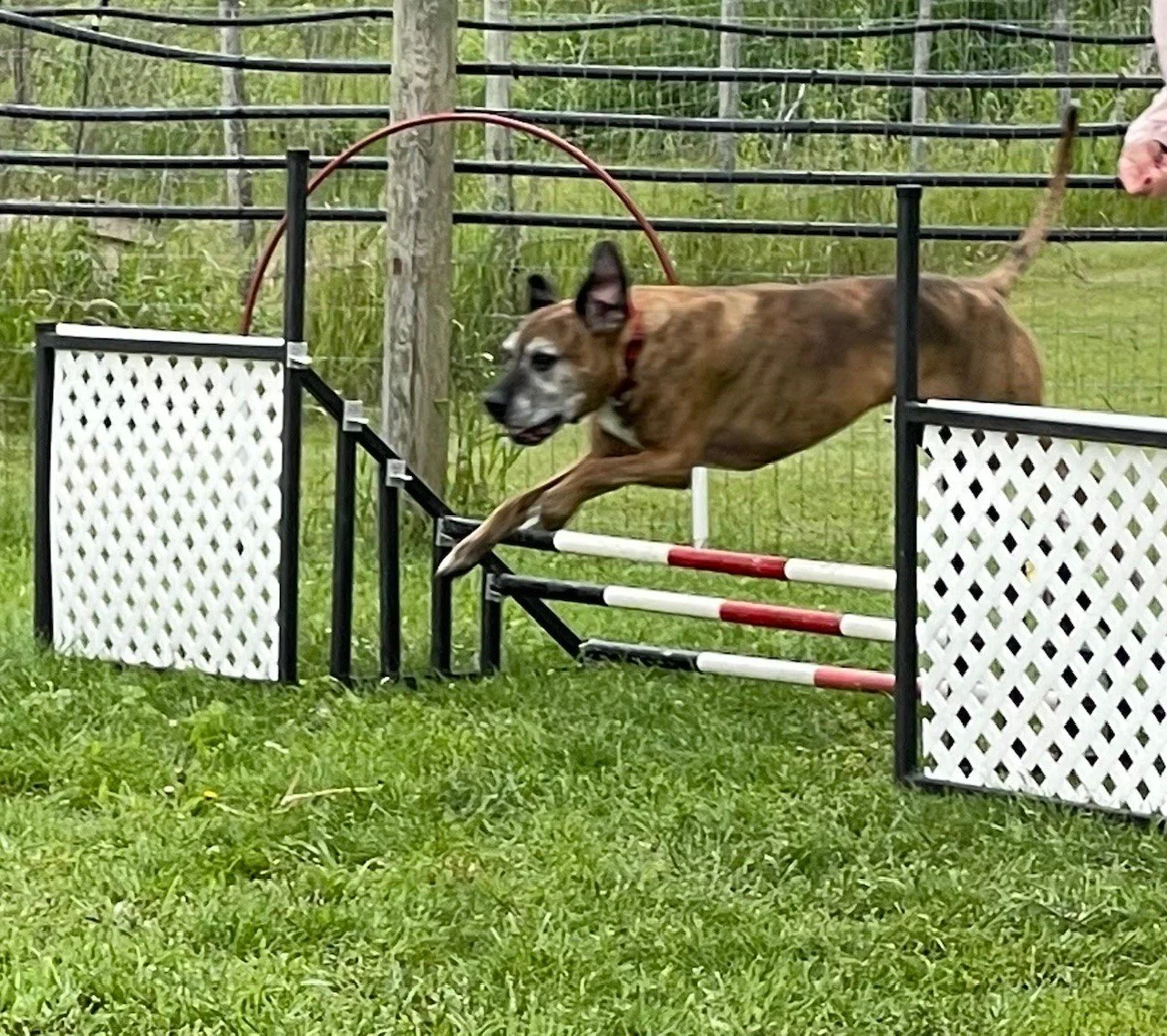 Spread jump.jpg