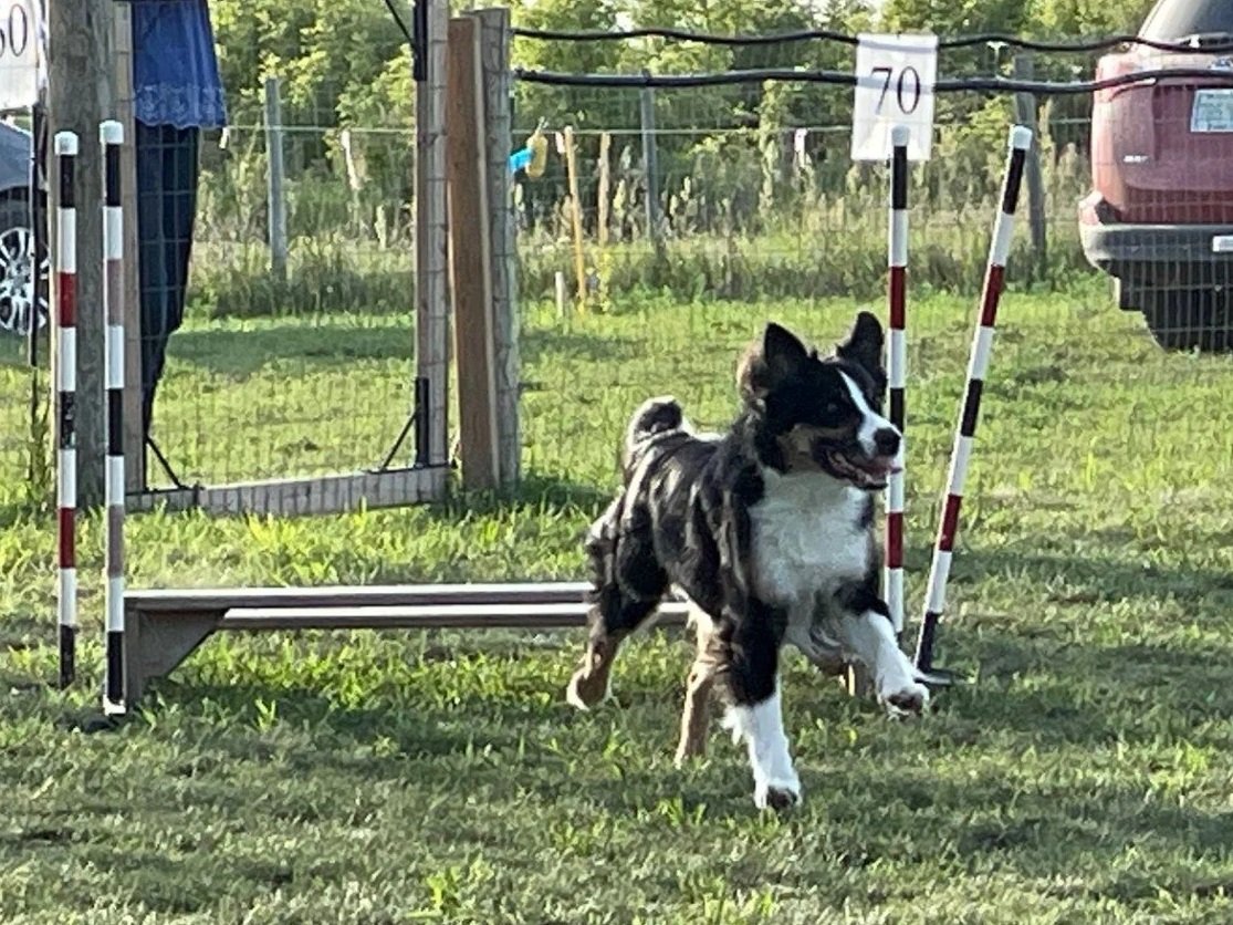 Prairie Dawgs Fitz Broad jump
