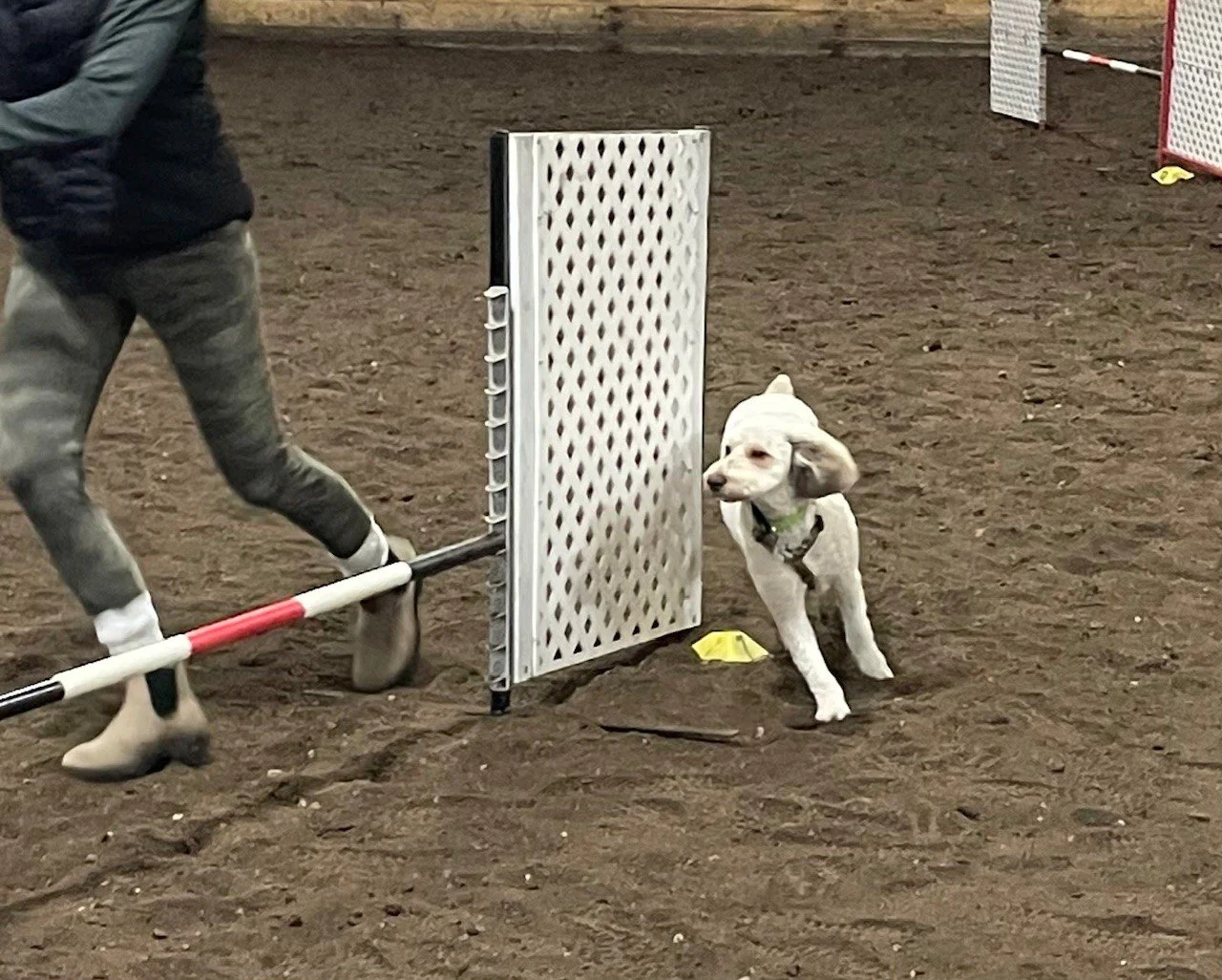 Prairie Dawgs Rudy jump