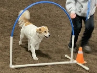 Prairie Dawgs Rona Hoop