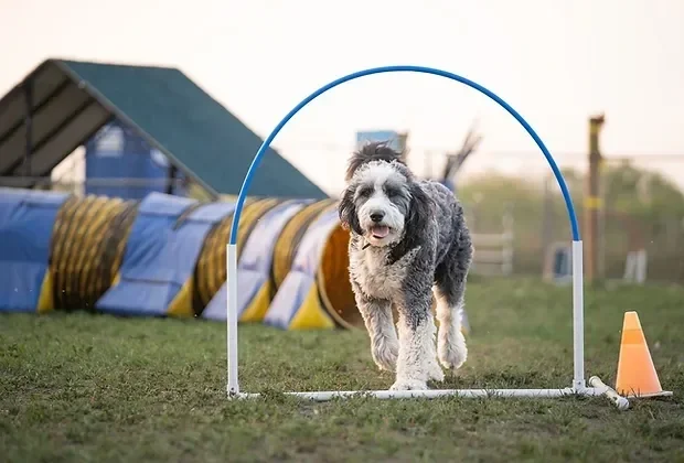 Kioti+hoop.webp (Copy)