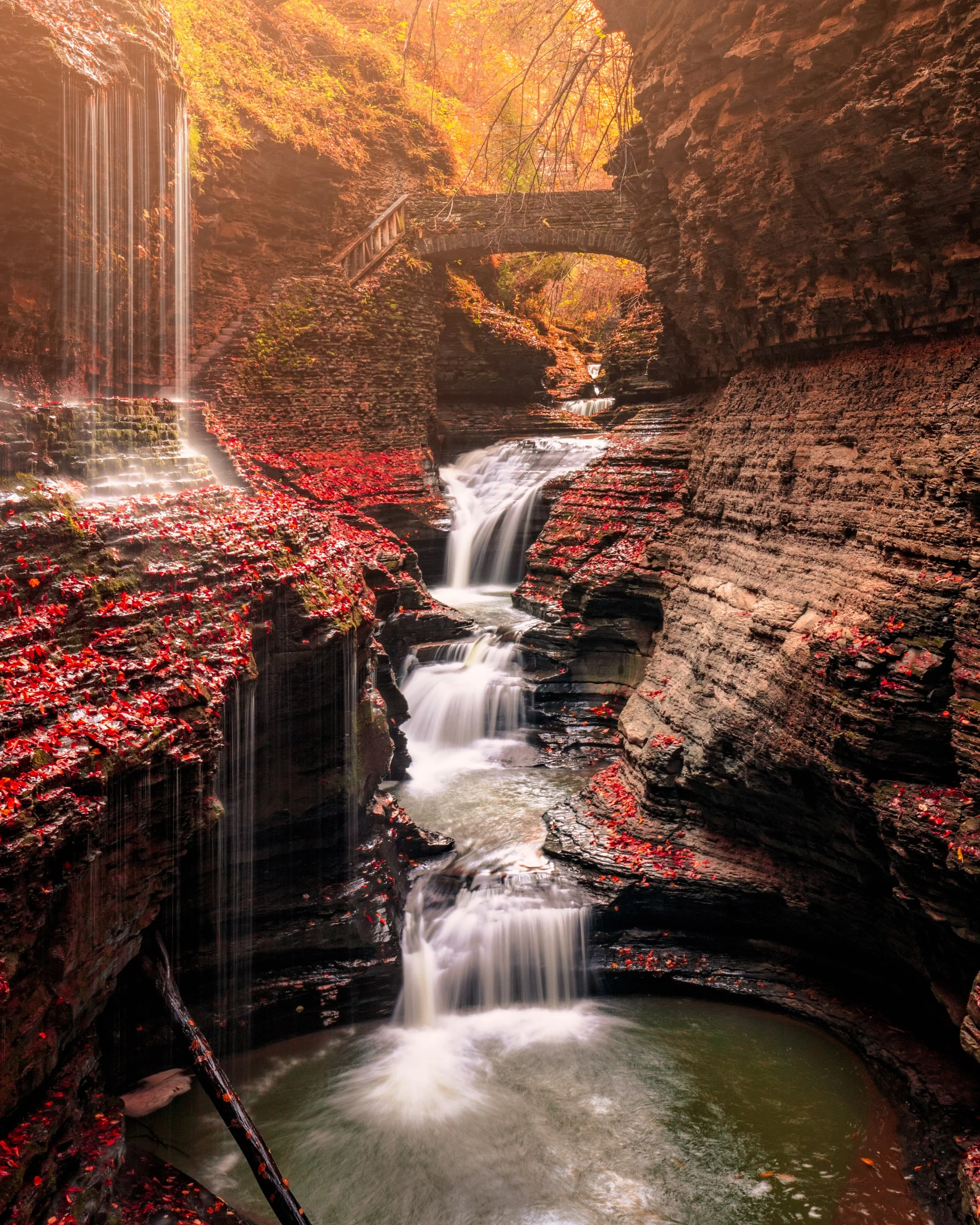 DSC01836-Edit-2-Editlow res.jpg