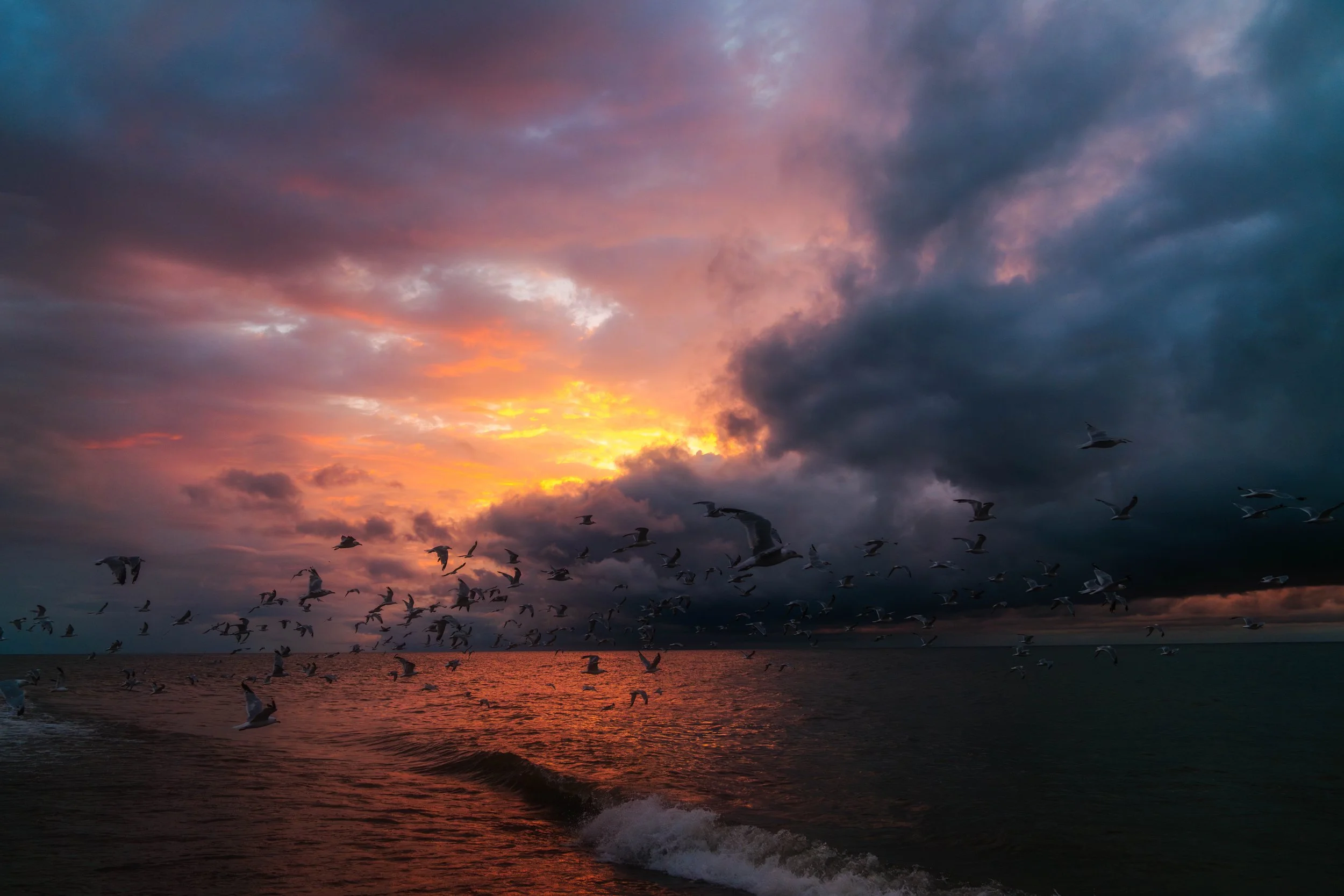 storm259-Enhanced-NR-Edit copy.jpg