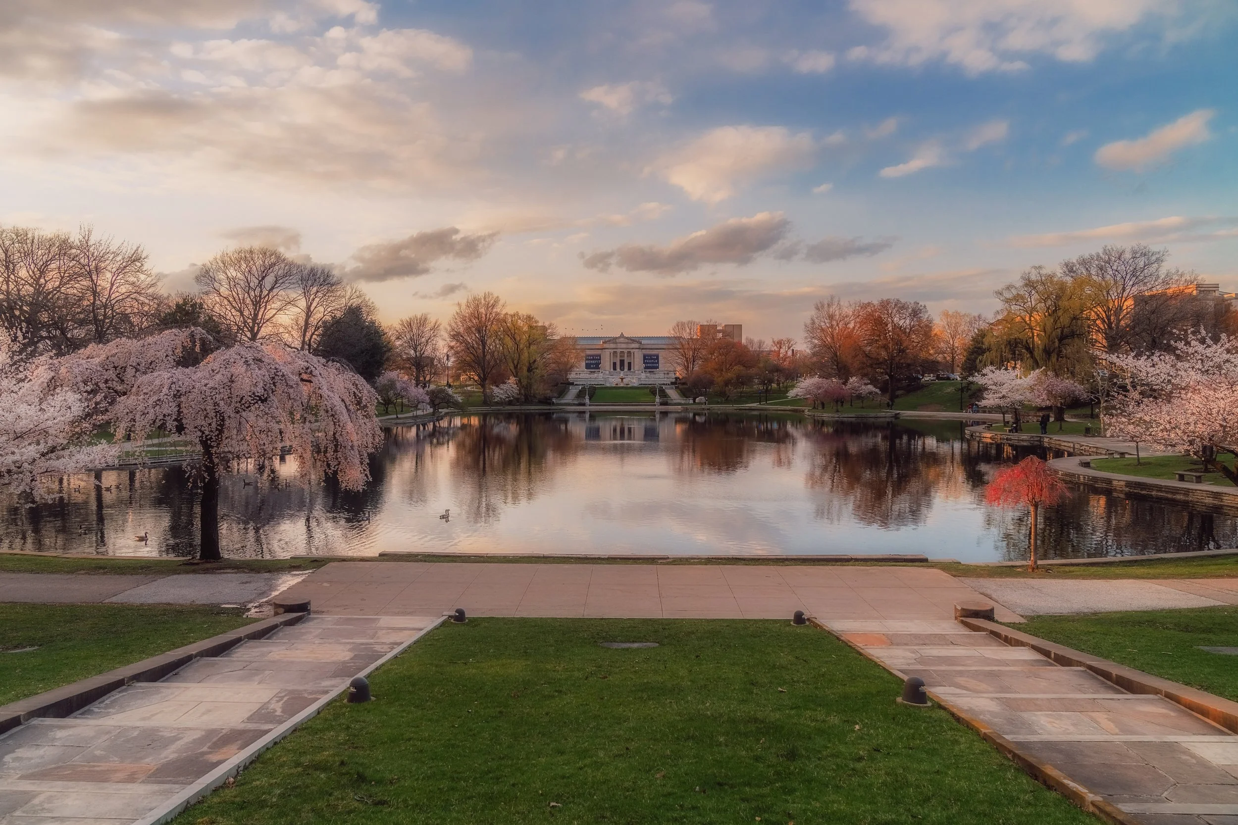2025 Wade Lagoons Cherry Blossomslow res.jpg