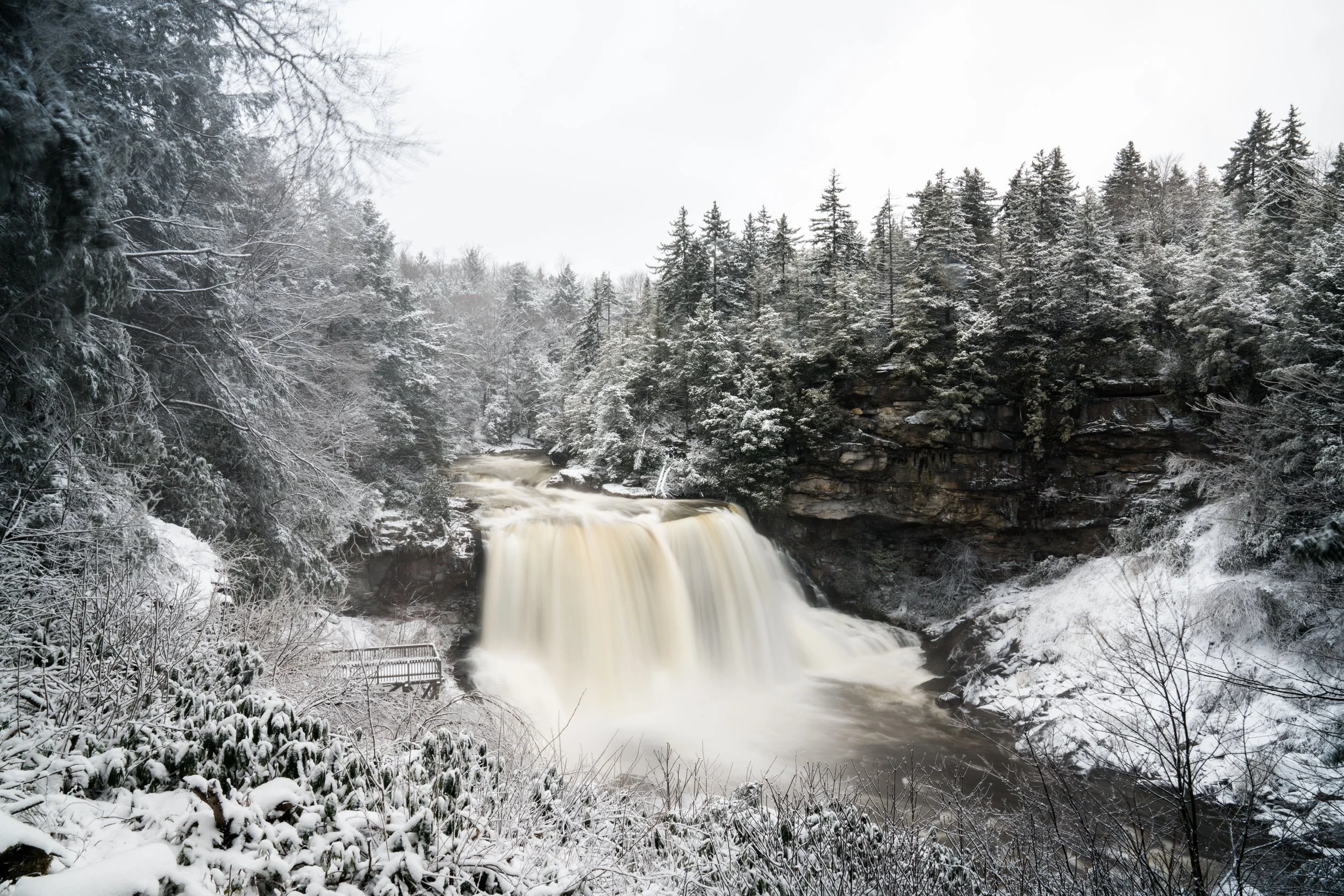 DSC00505low res copy.jpg