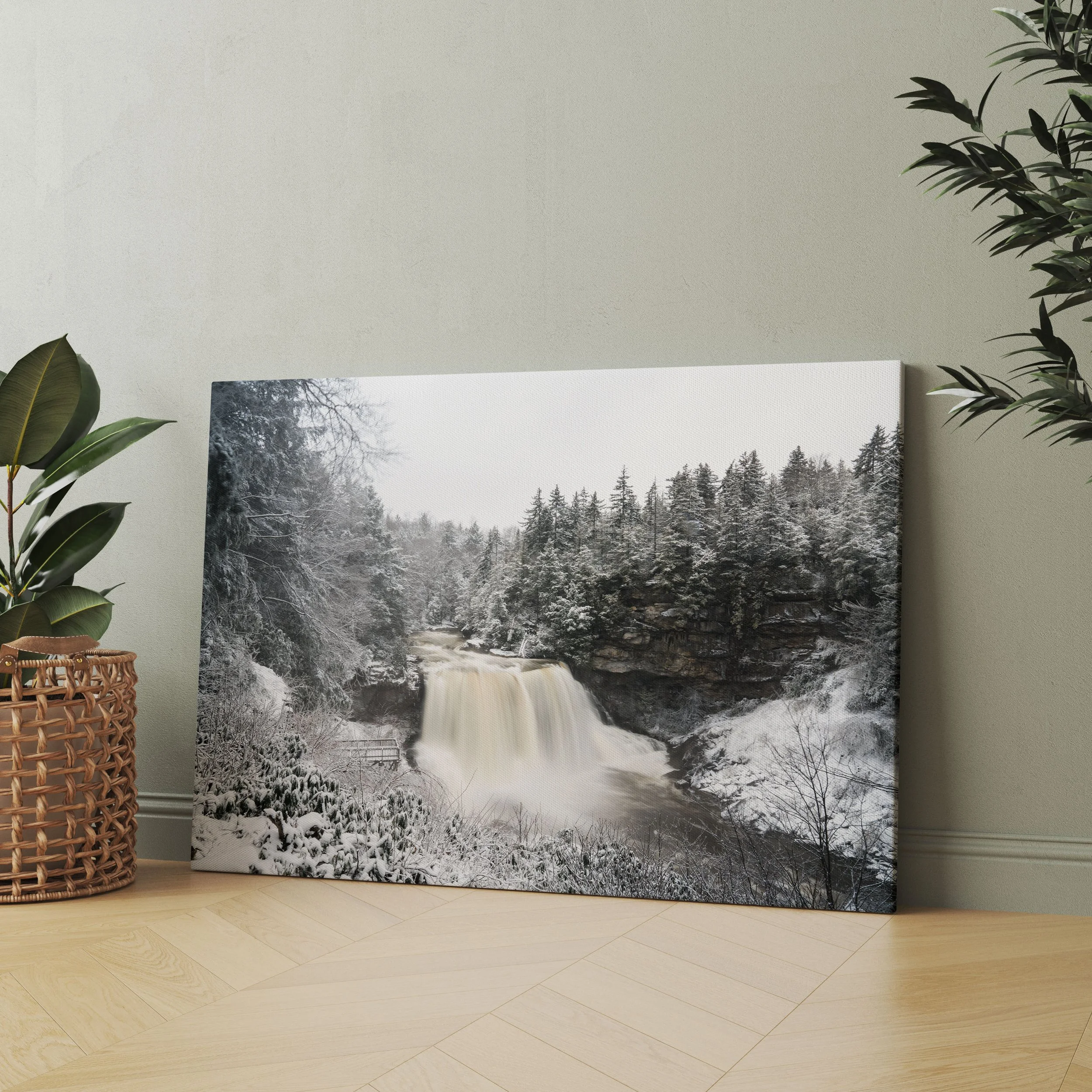 269_canvas_010002 copy.jpg