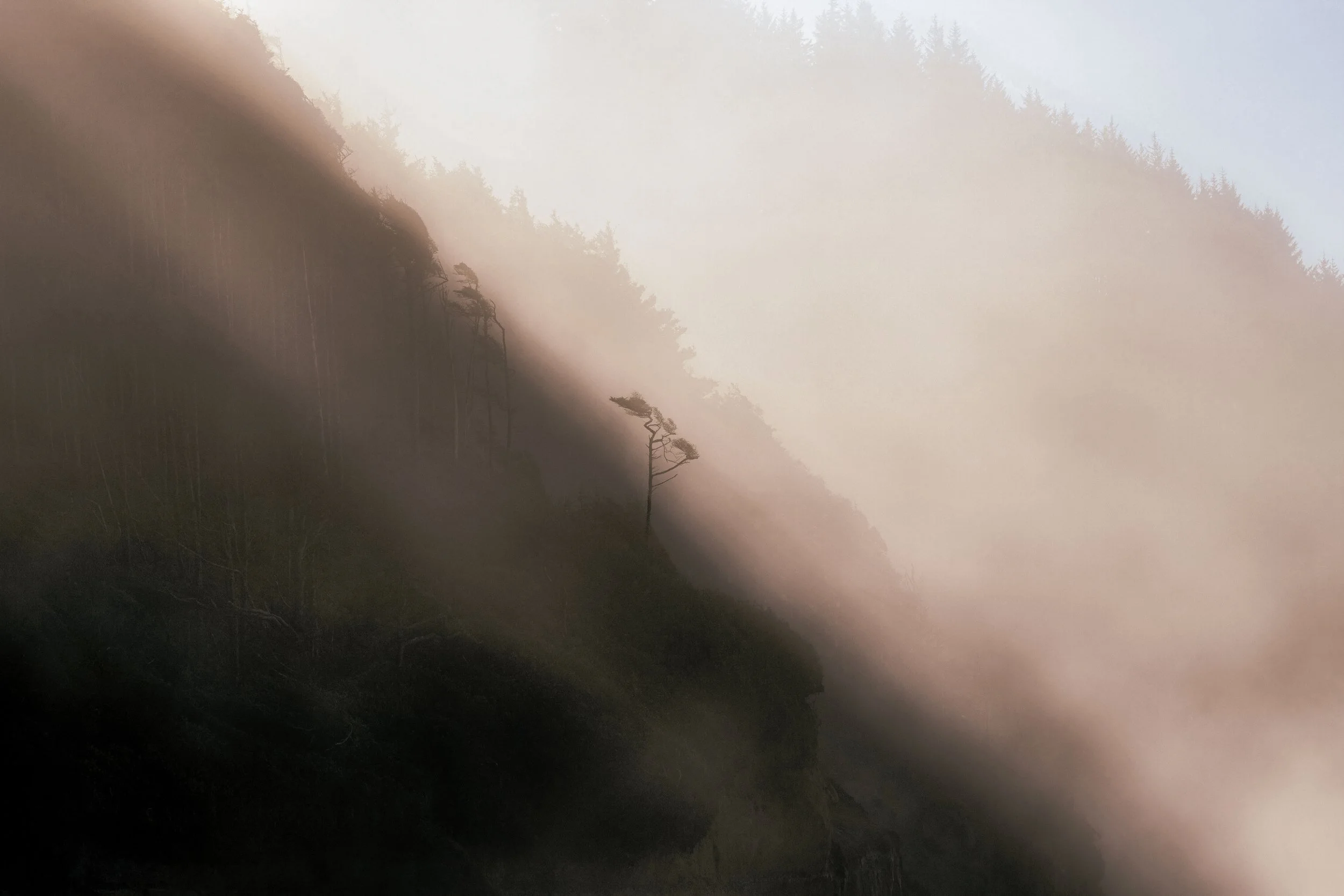 master jpeg copy.jpg