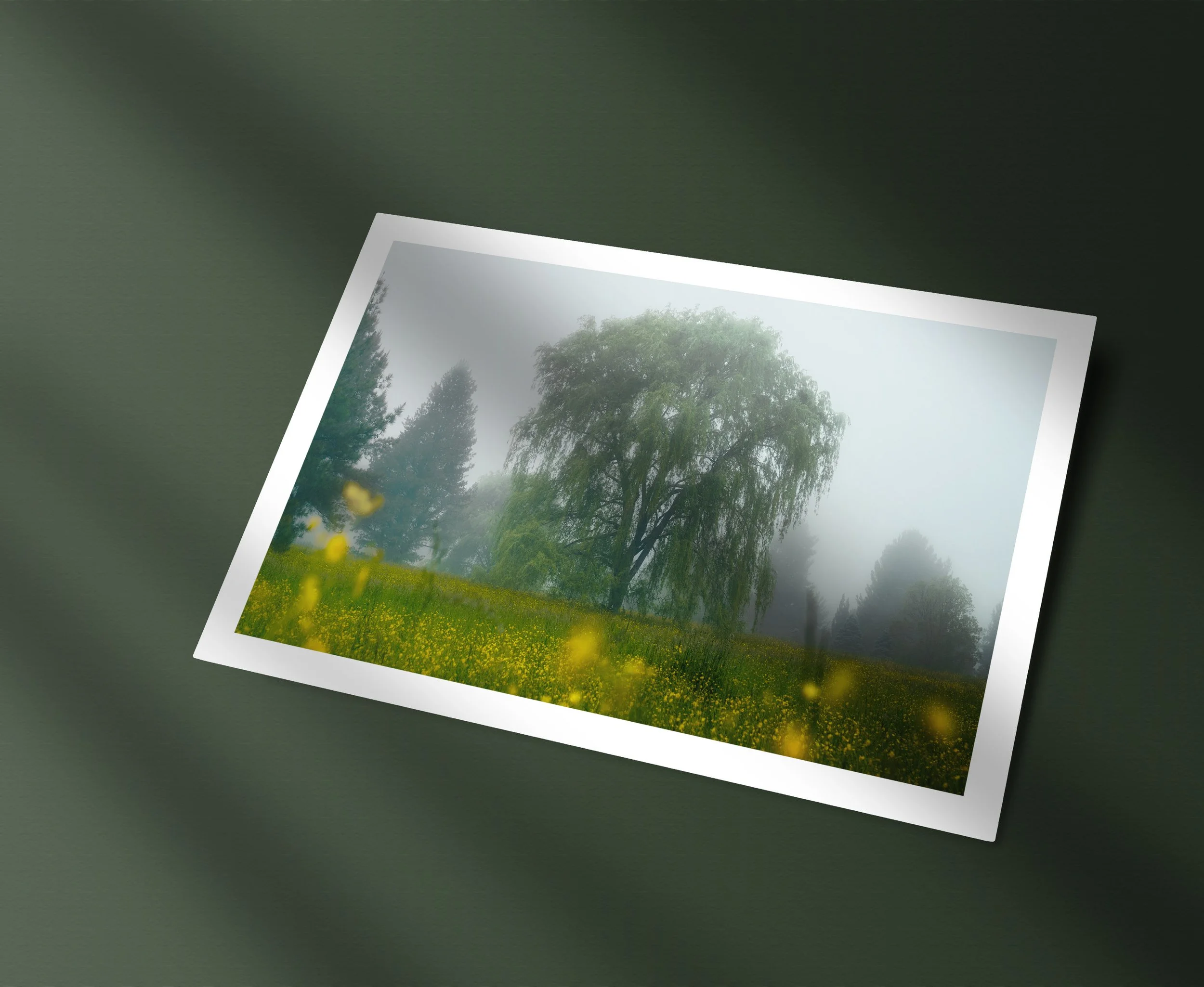 frame02 copy.jpg
